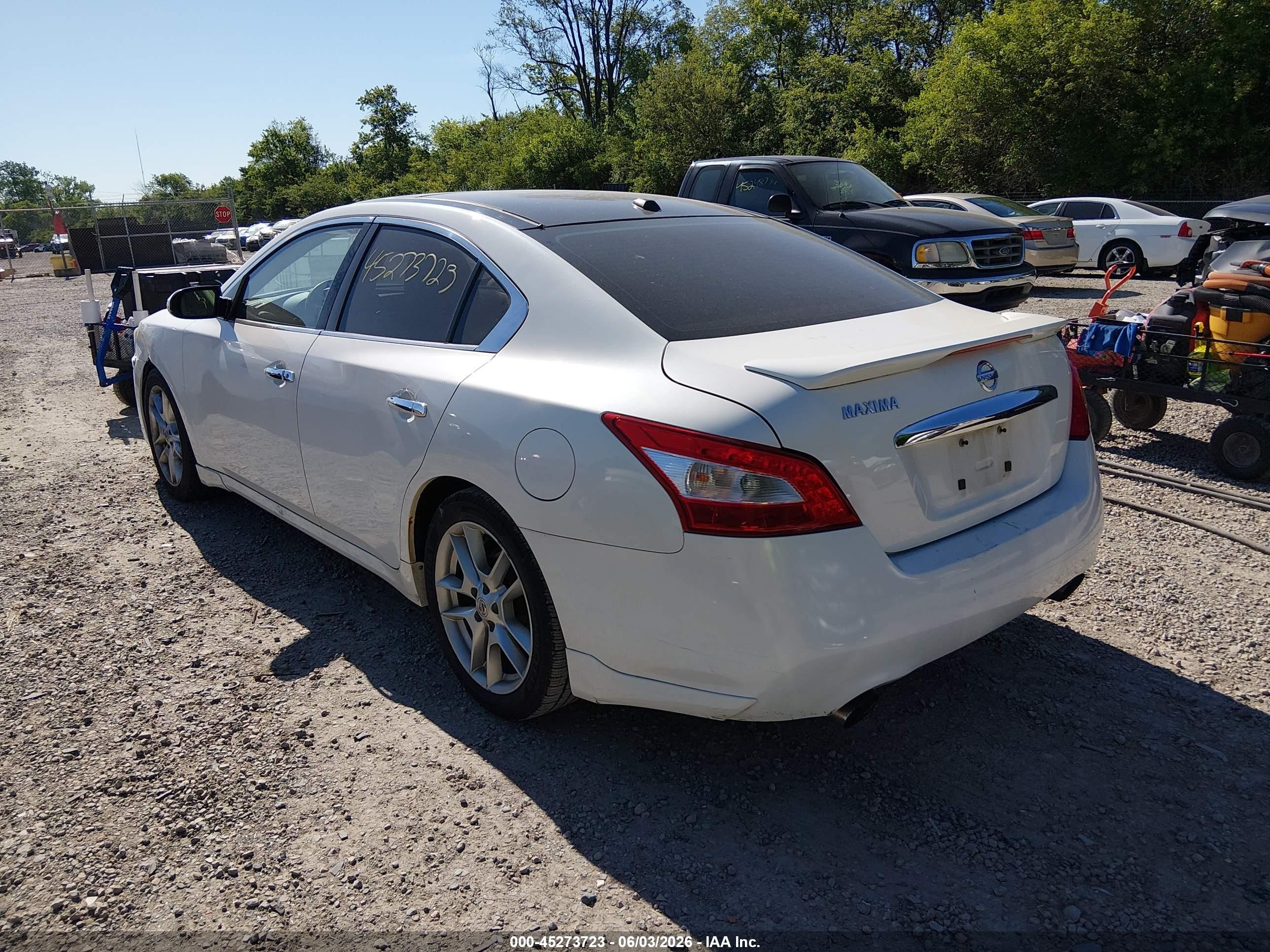 2010 Nissan Maxima 3.5 Sv Белый vin: 1N4AA5AP4AC843487