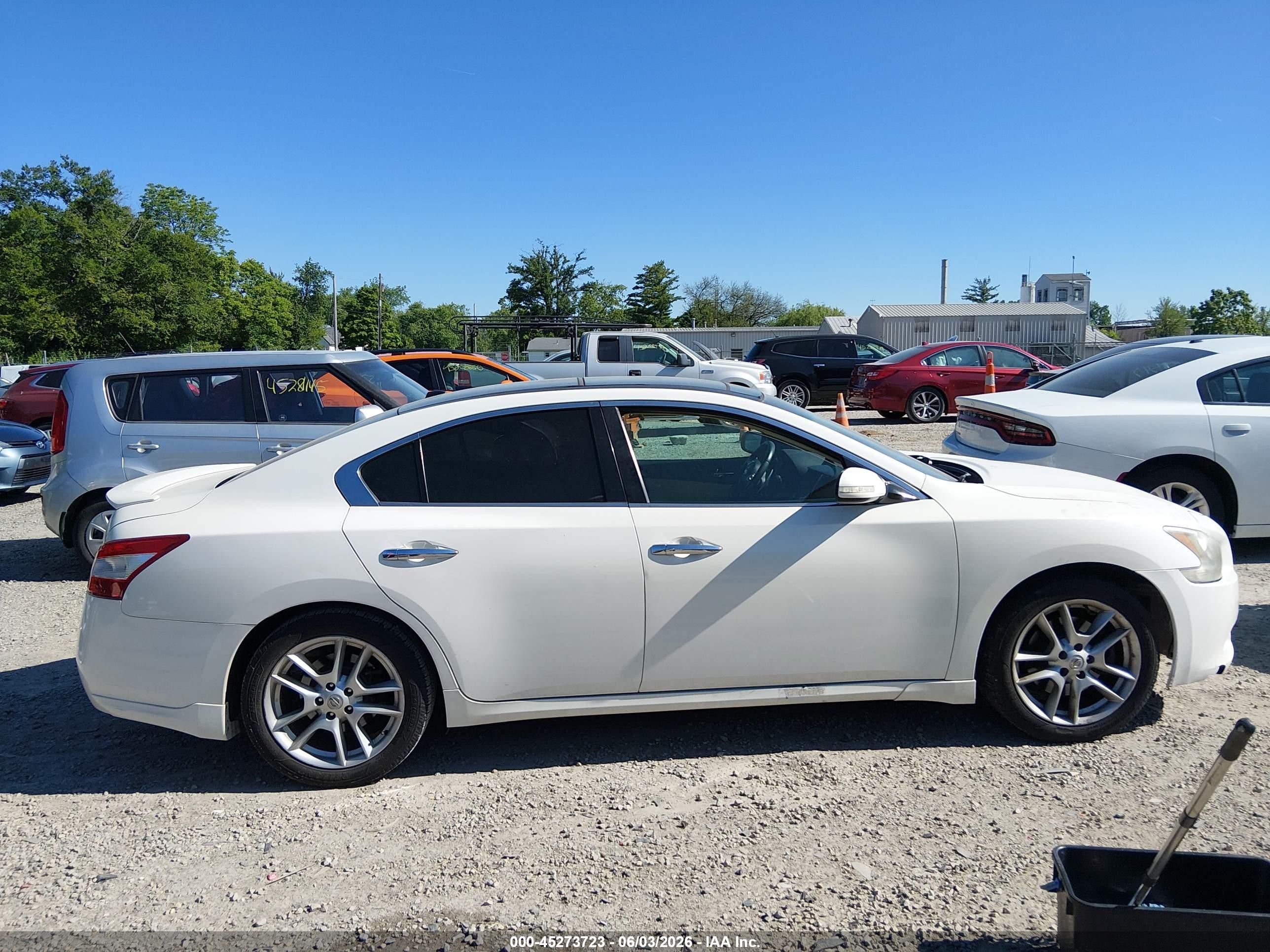 2010 Nissan Maxima 3.5 Sv Белый vin: 1N4AA5AP4AC843487