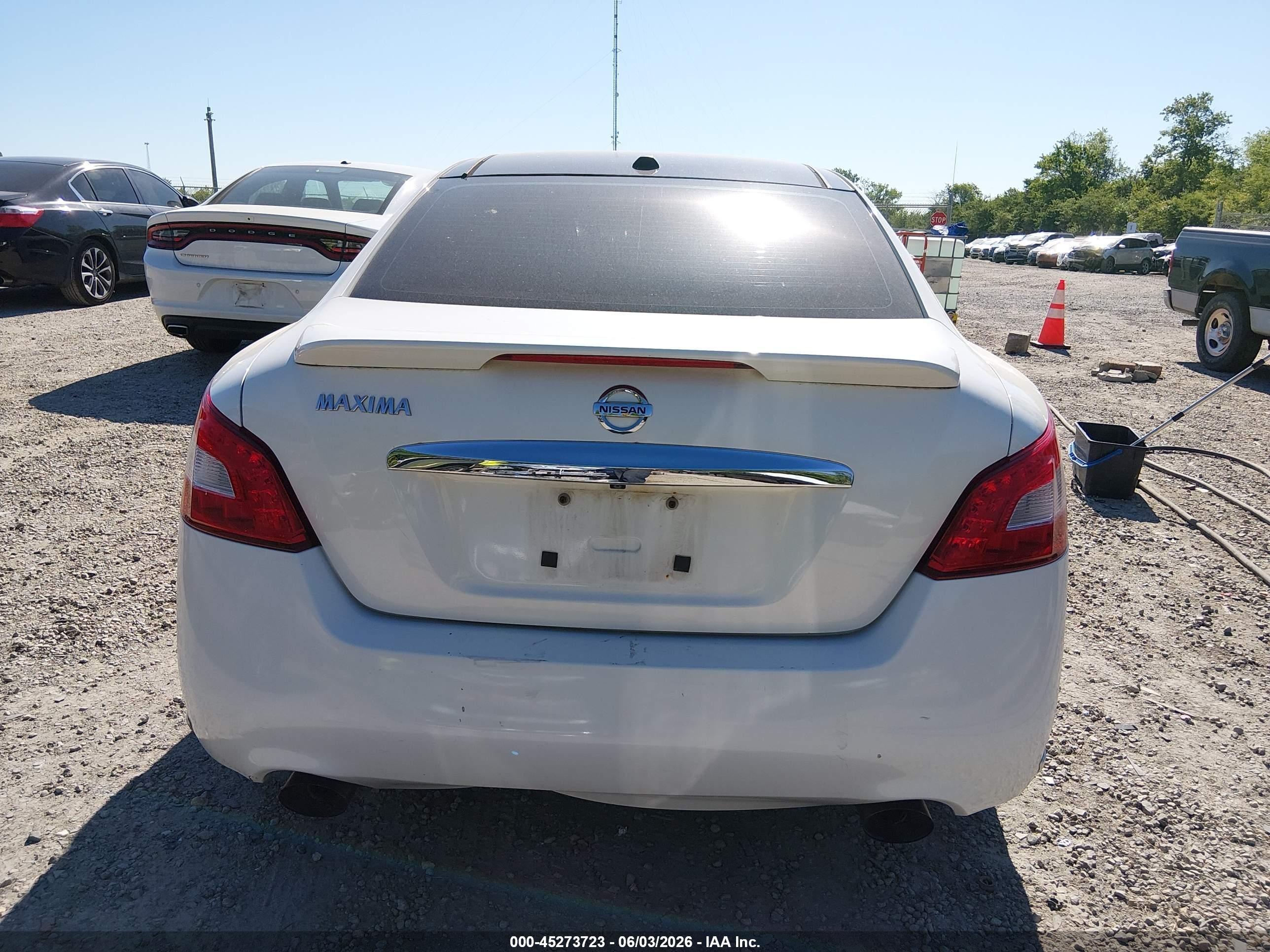 2010 Nissan Maxima 3.5 Sv Белый vin: 1N4AA5AP4AC843487