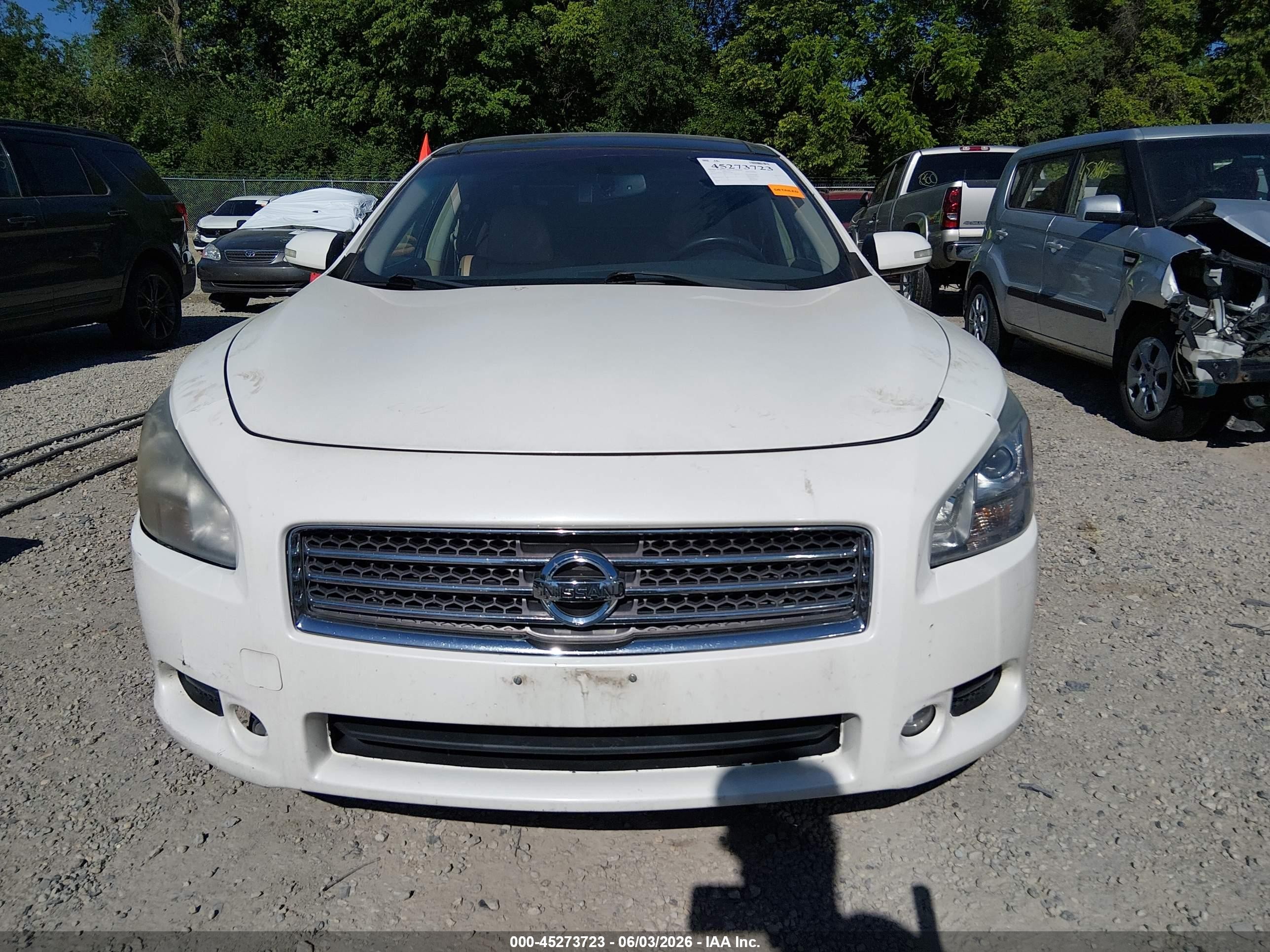 2010 Nissan Maxima 3.5 Sv Белый vin: 1N4AA5AP4AC843487