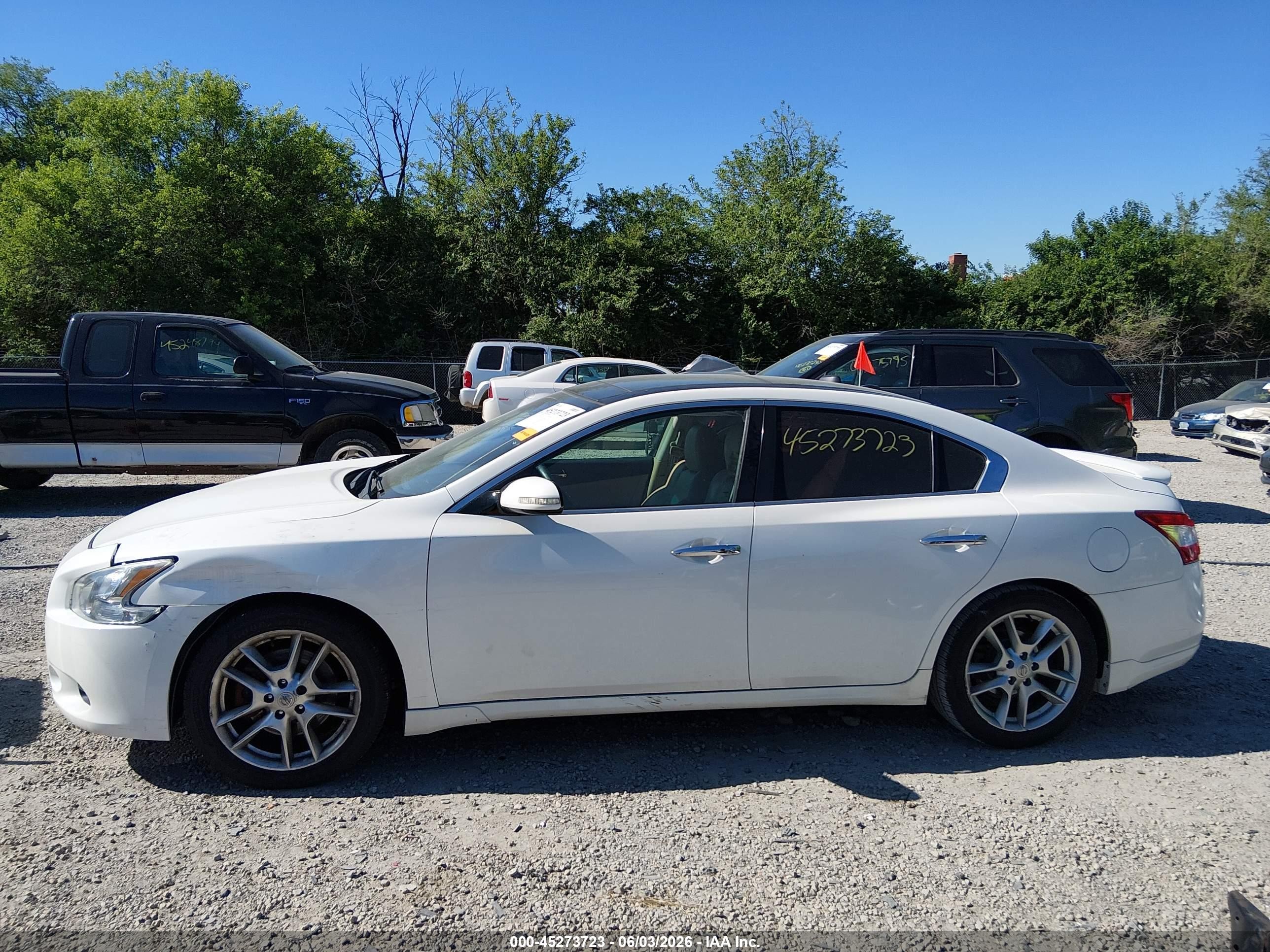 2010 Nissan Maxima 3.5 Sv Белый vin: 1N4AA5AP4AC843487