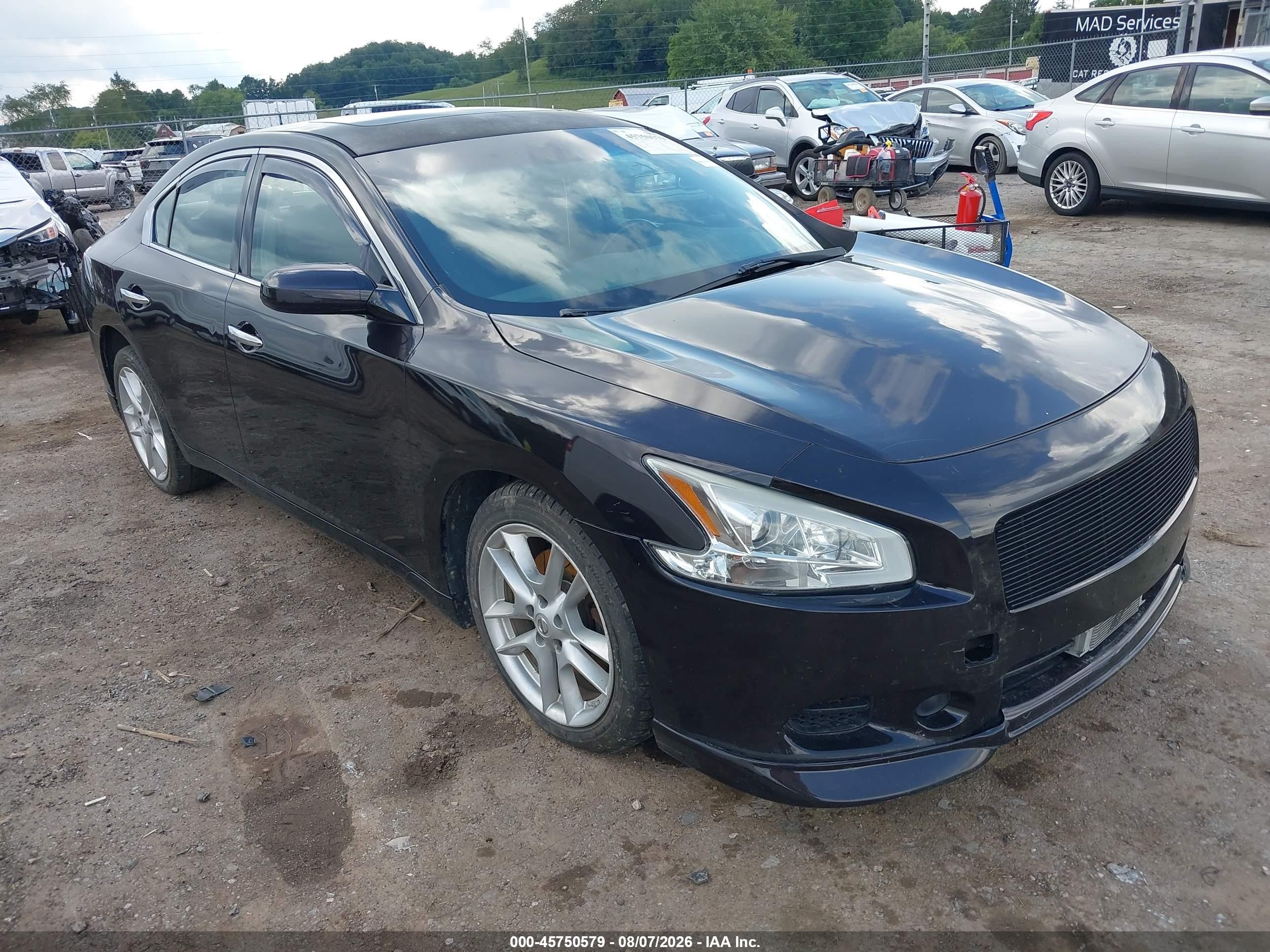 2010 Nissan Maxima 3.5 S Фиолетовый vin: 1N4AA5AP4AC860757
