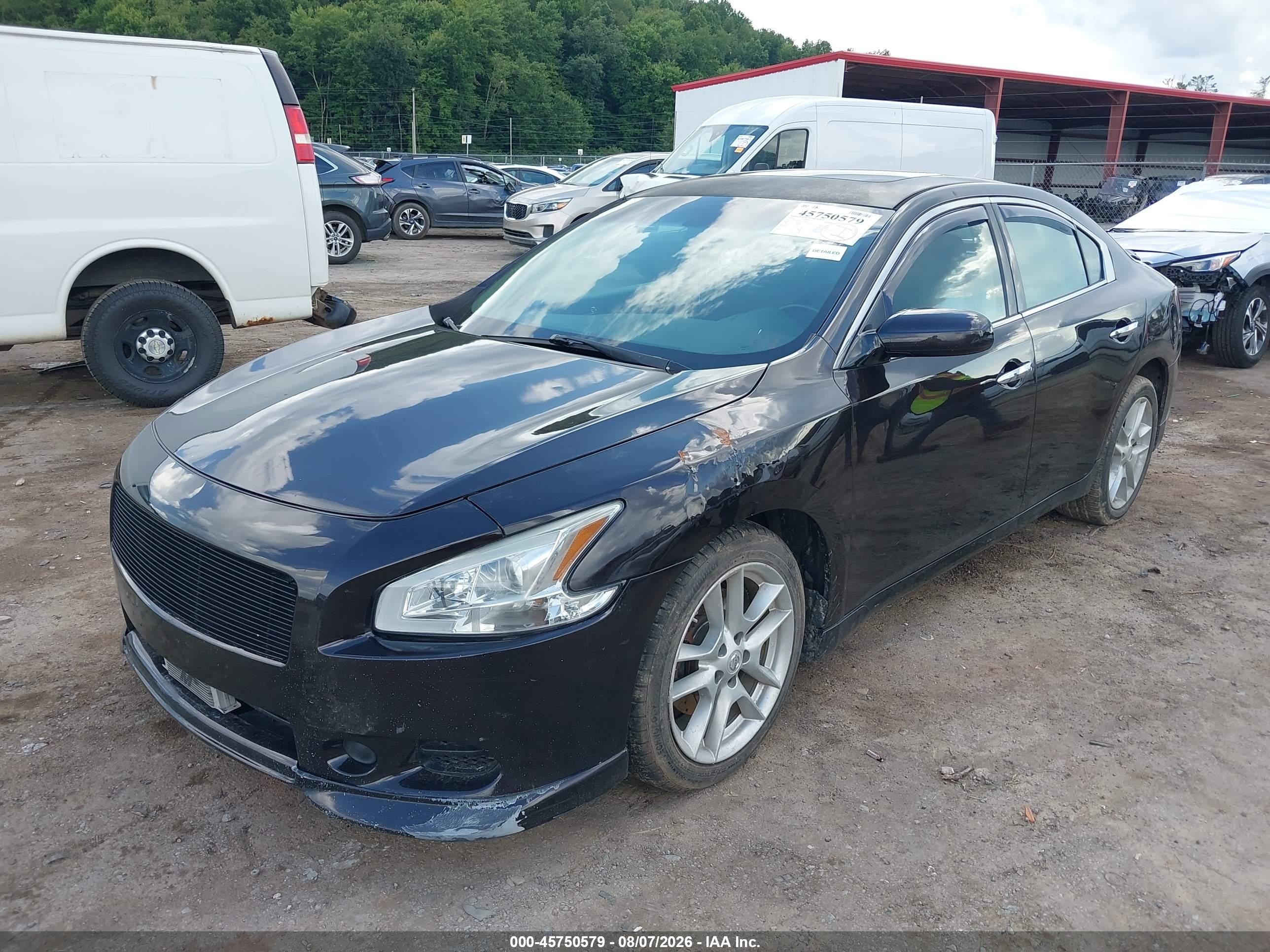 2010 Nissan Maxima 3.5 S Purple vin: 1N4AA5AP4AC860757