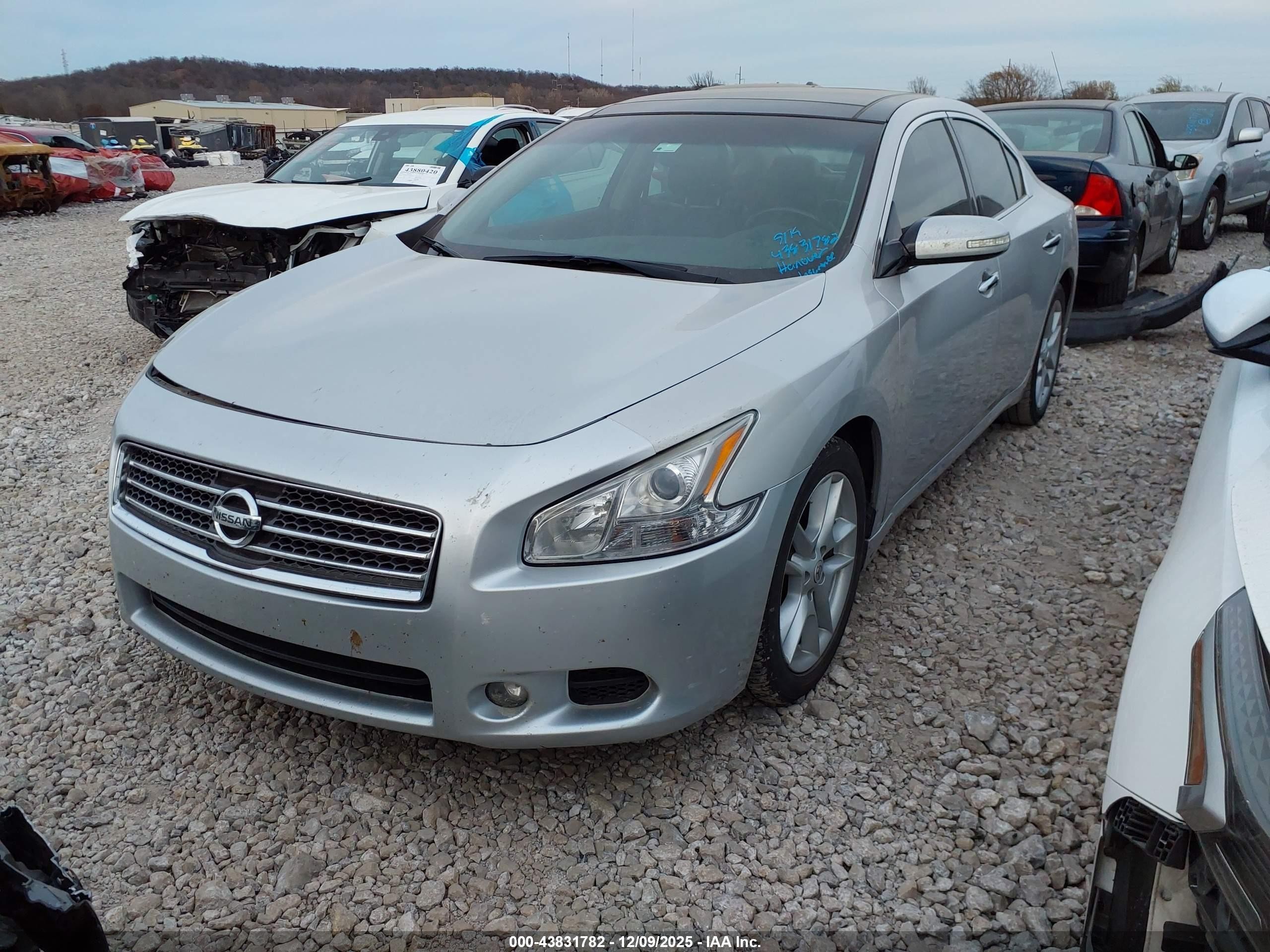 2011 Nissan Maxima 3.5 Sv Серебряный vin: 1N4AA5AP4BC803993