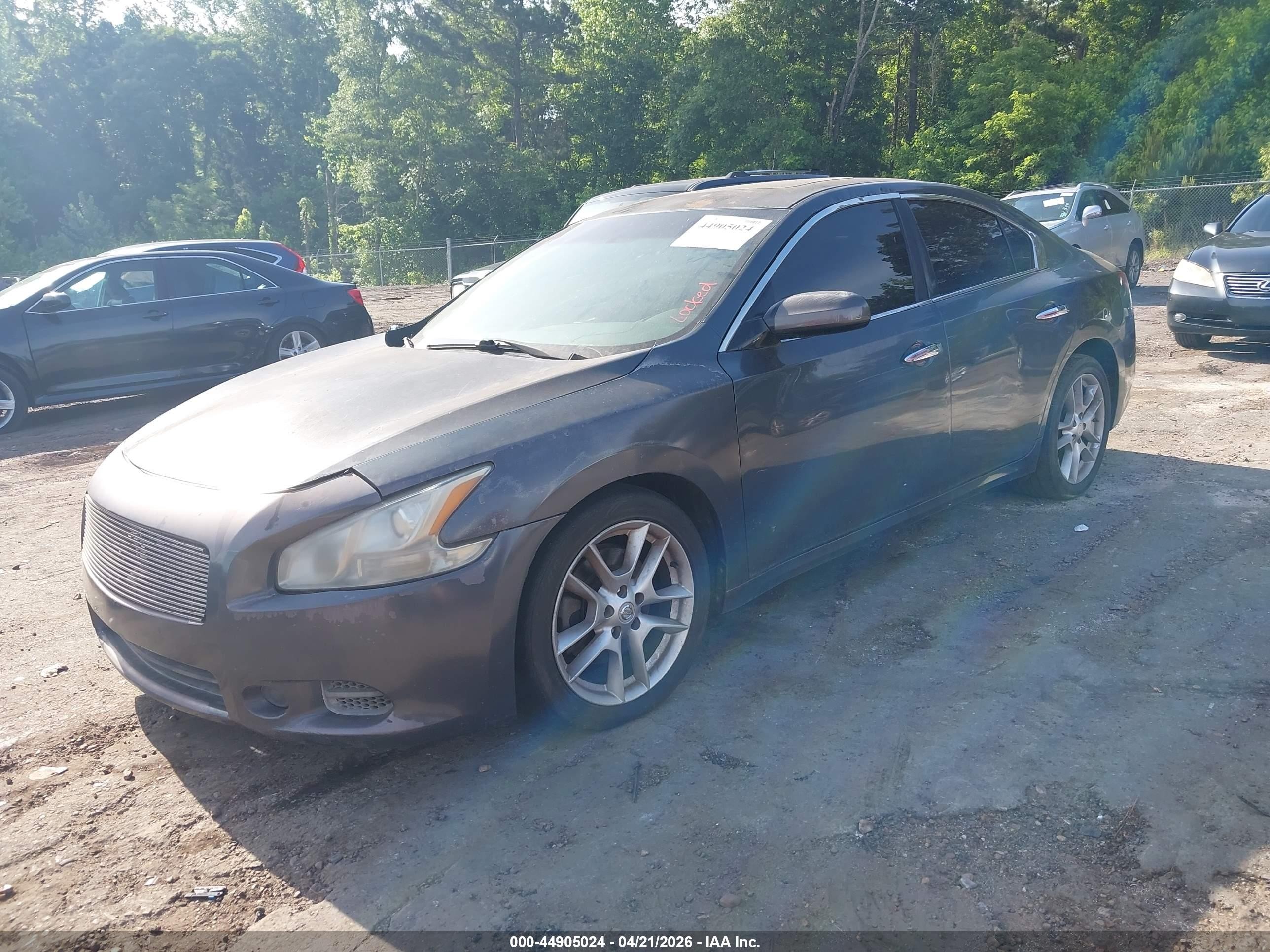 2011 Nissan Maxima 3.5 S Gray vin: 1N4AA5AP4BC834161