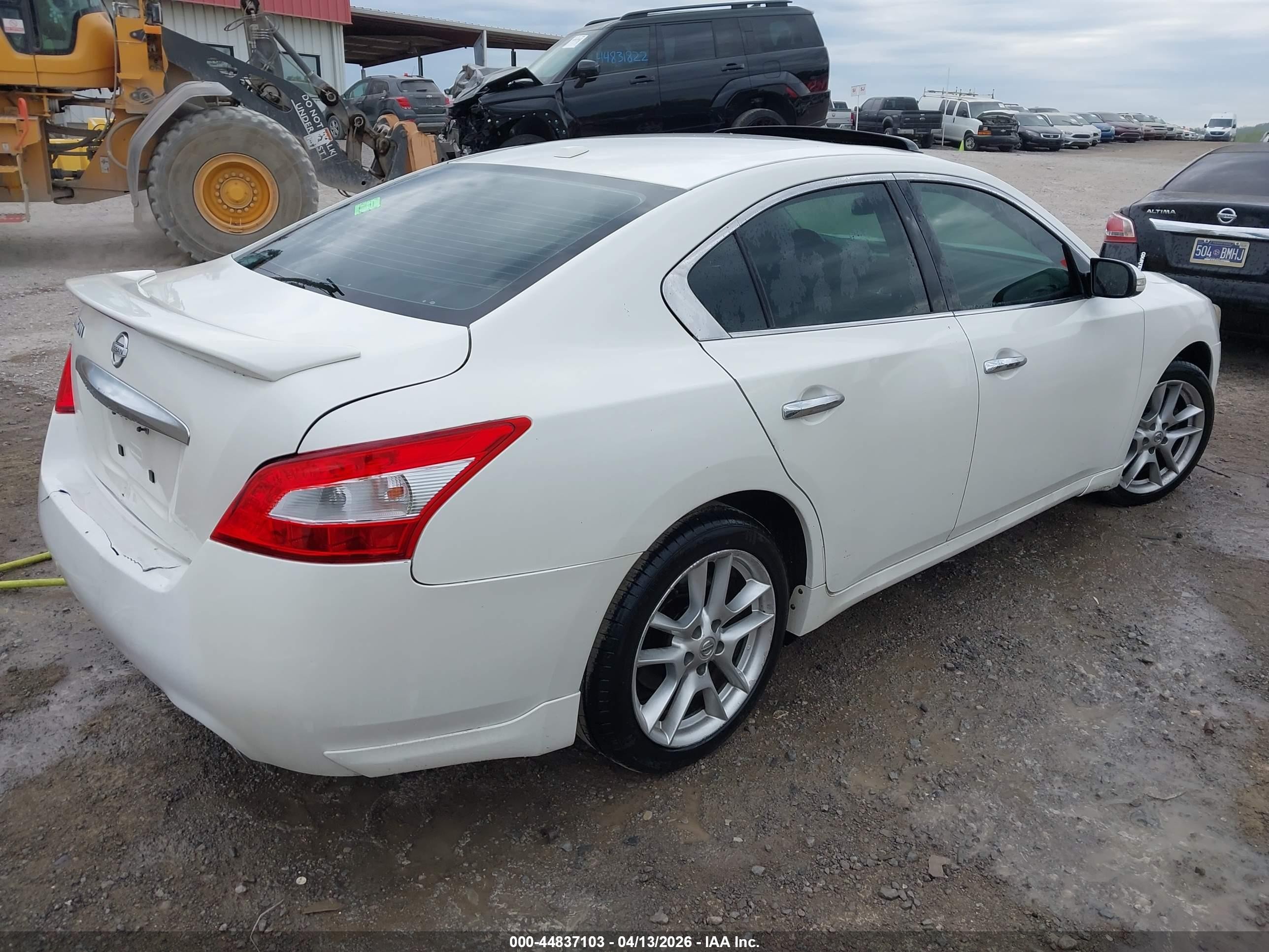2011 Nissan Maxima 3.5 Sv Белый vin: 1N4AA5AP4BC858654