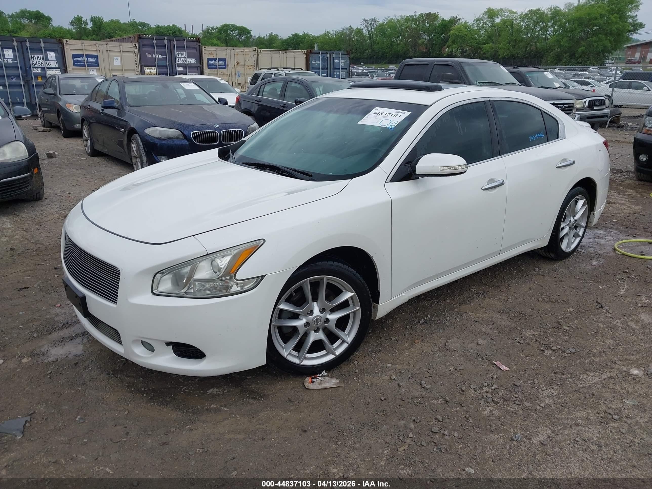 2011 Nissan Maxima 3.5 Sv Белый vin: 1N4AA5AP4BC858654
