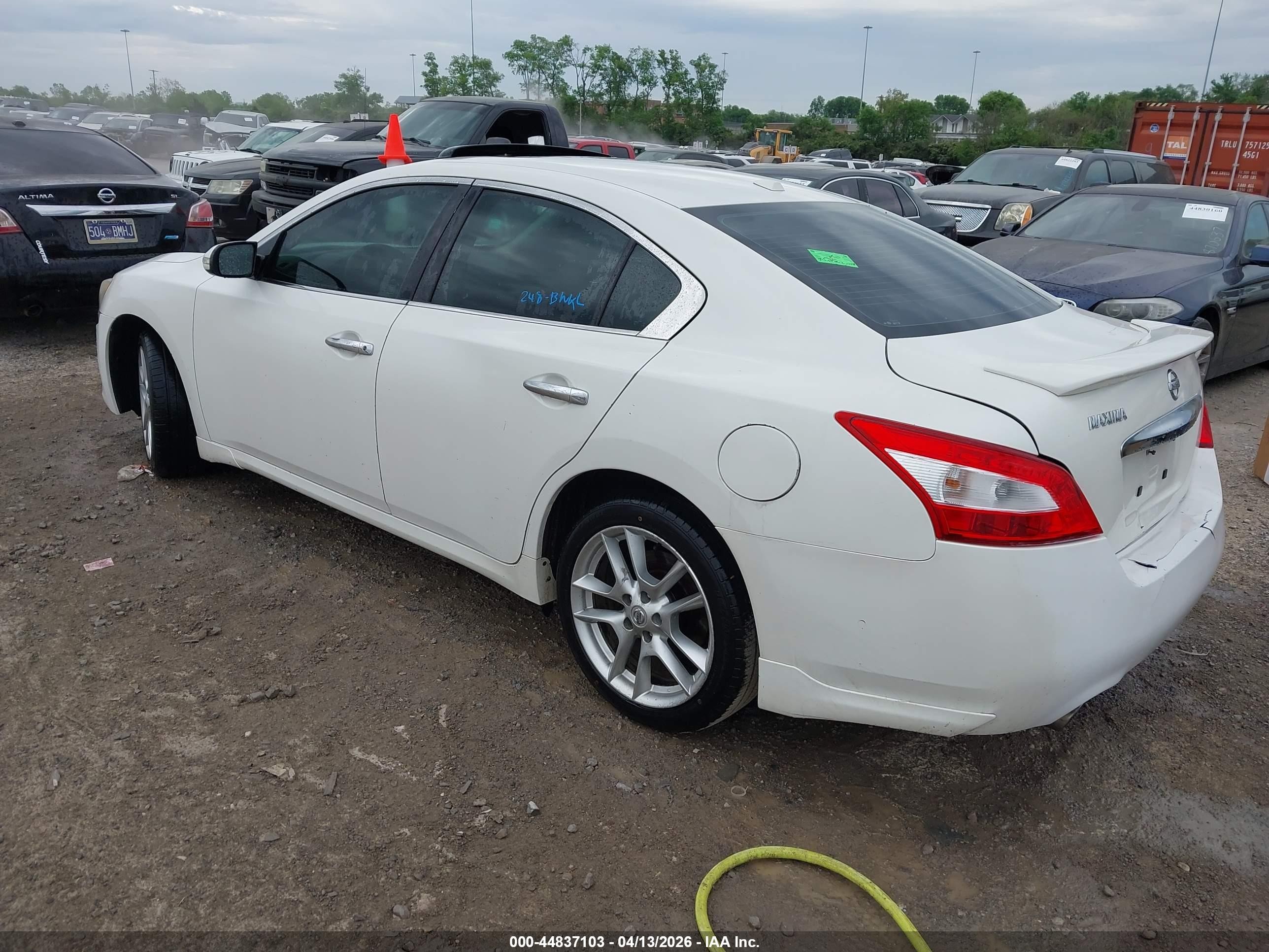 2011 Nissan Maxima 3.5 Sv Белый vin: 1N4AA5AP4BC858654