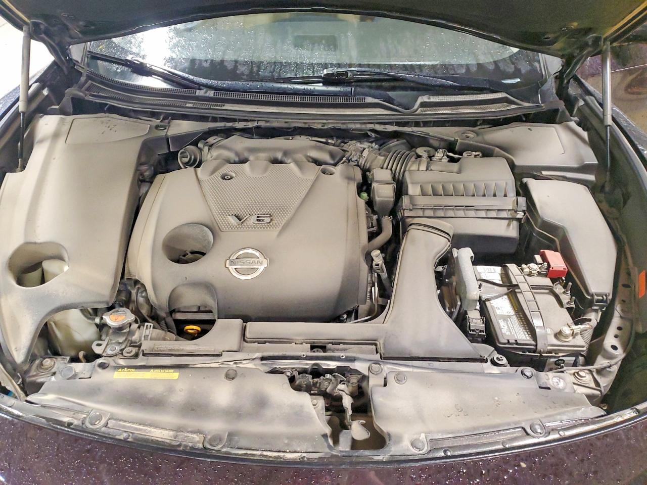 2013 Nissan Maxima Purple vin: 1N4AA5AP4DC824930