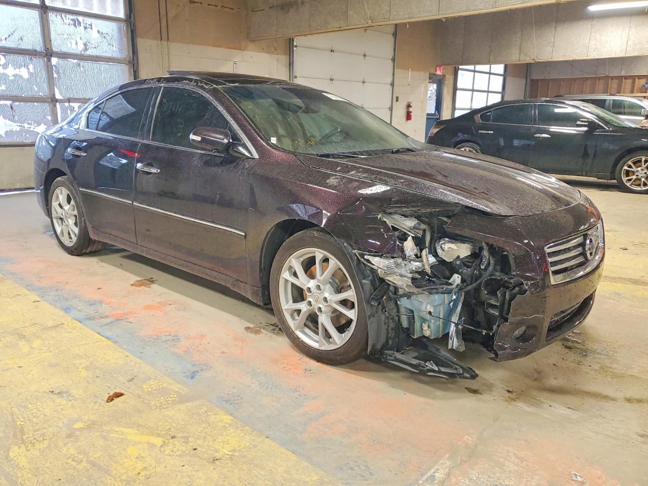2013 Nissan Maxima Purple vin: 1N4AA5AP4DC824930