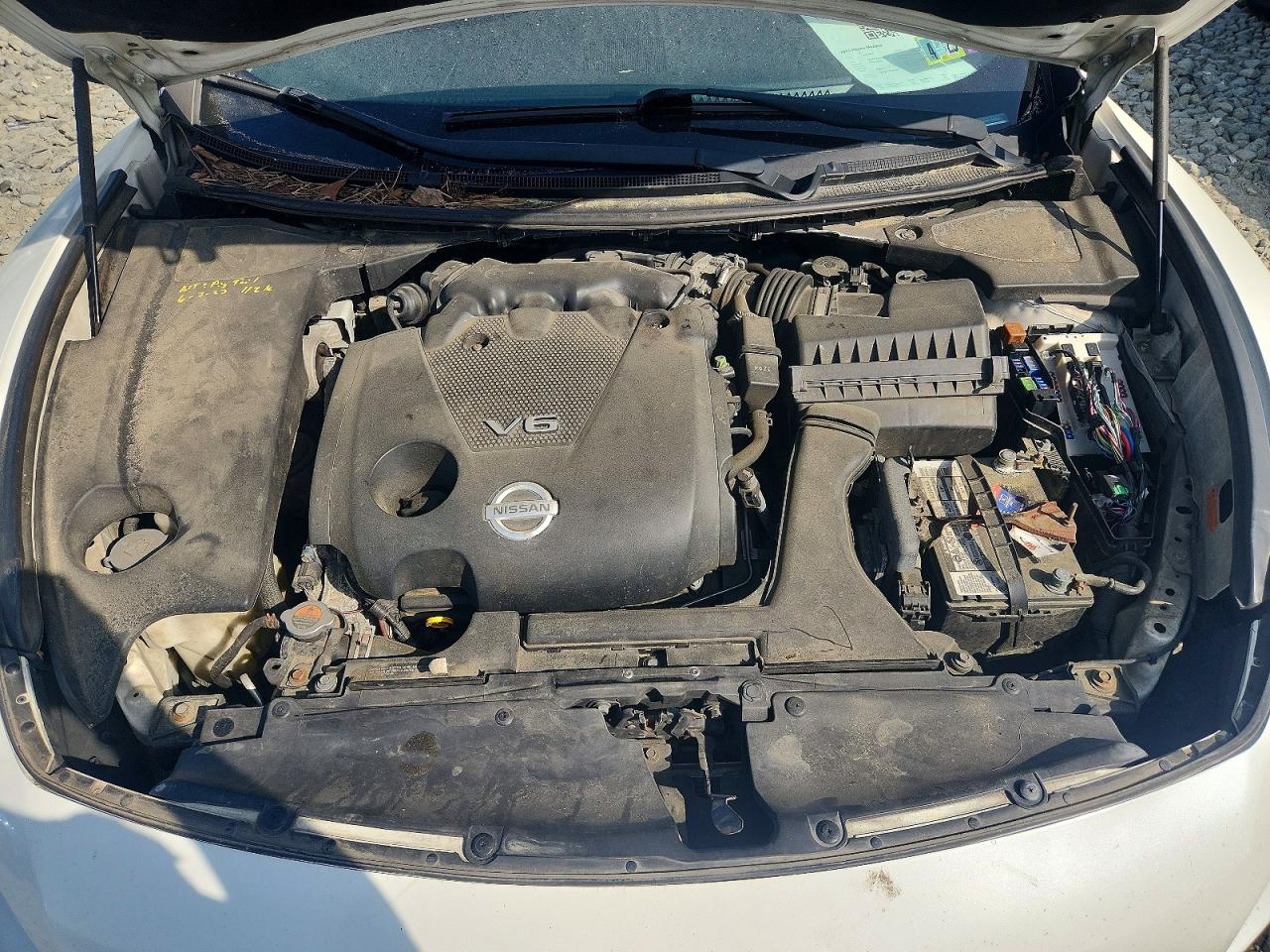 2013 Nissan Maxima 3.5 Sv Белый vin: 1N4AA5AP4DC842652