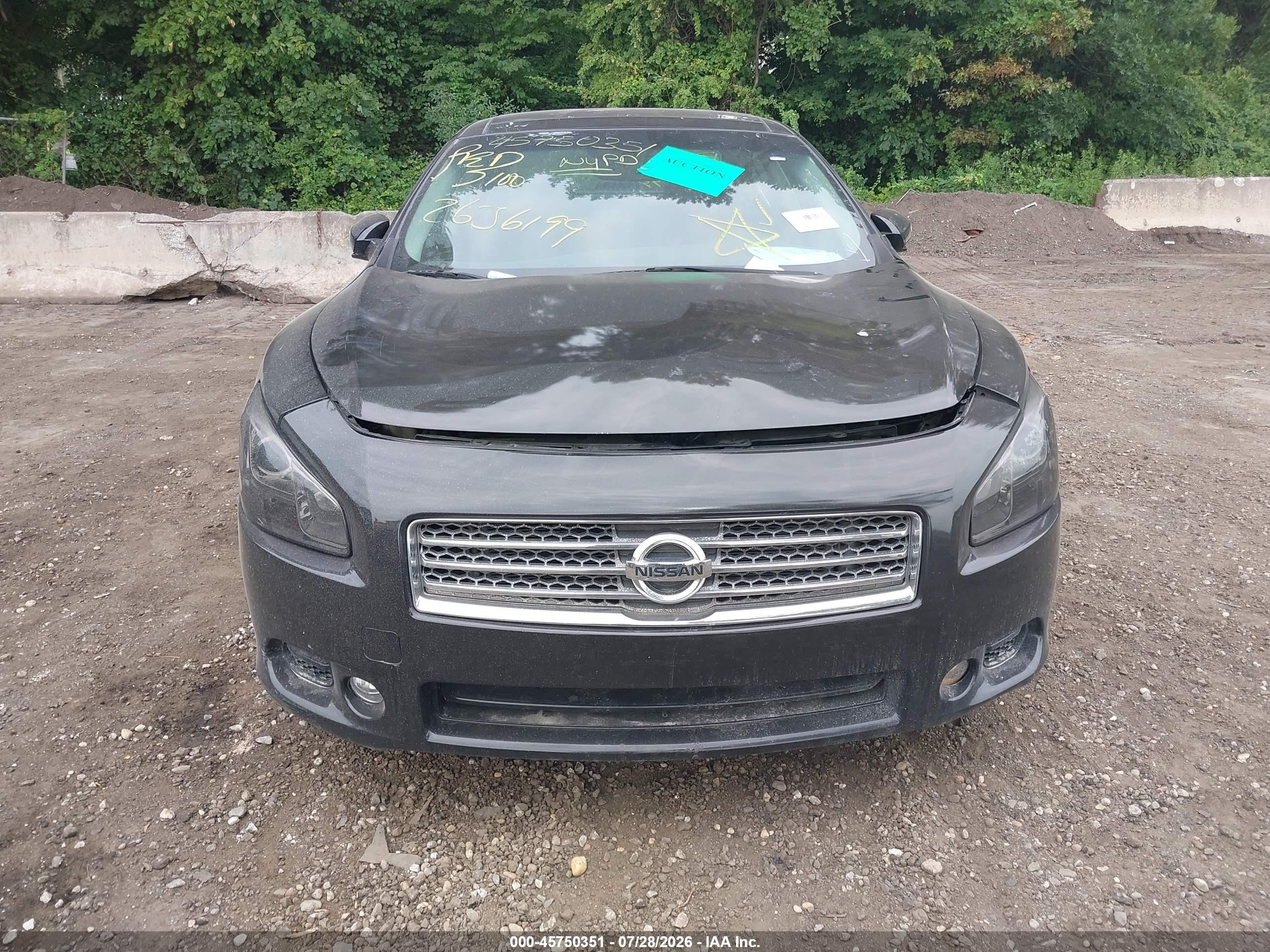 2010 Nissan Maxima 3.5 Sv Черный vin: 1N4AA5AP5AC804052