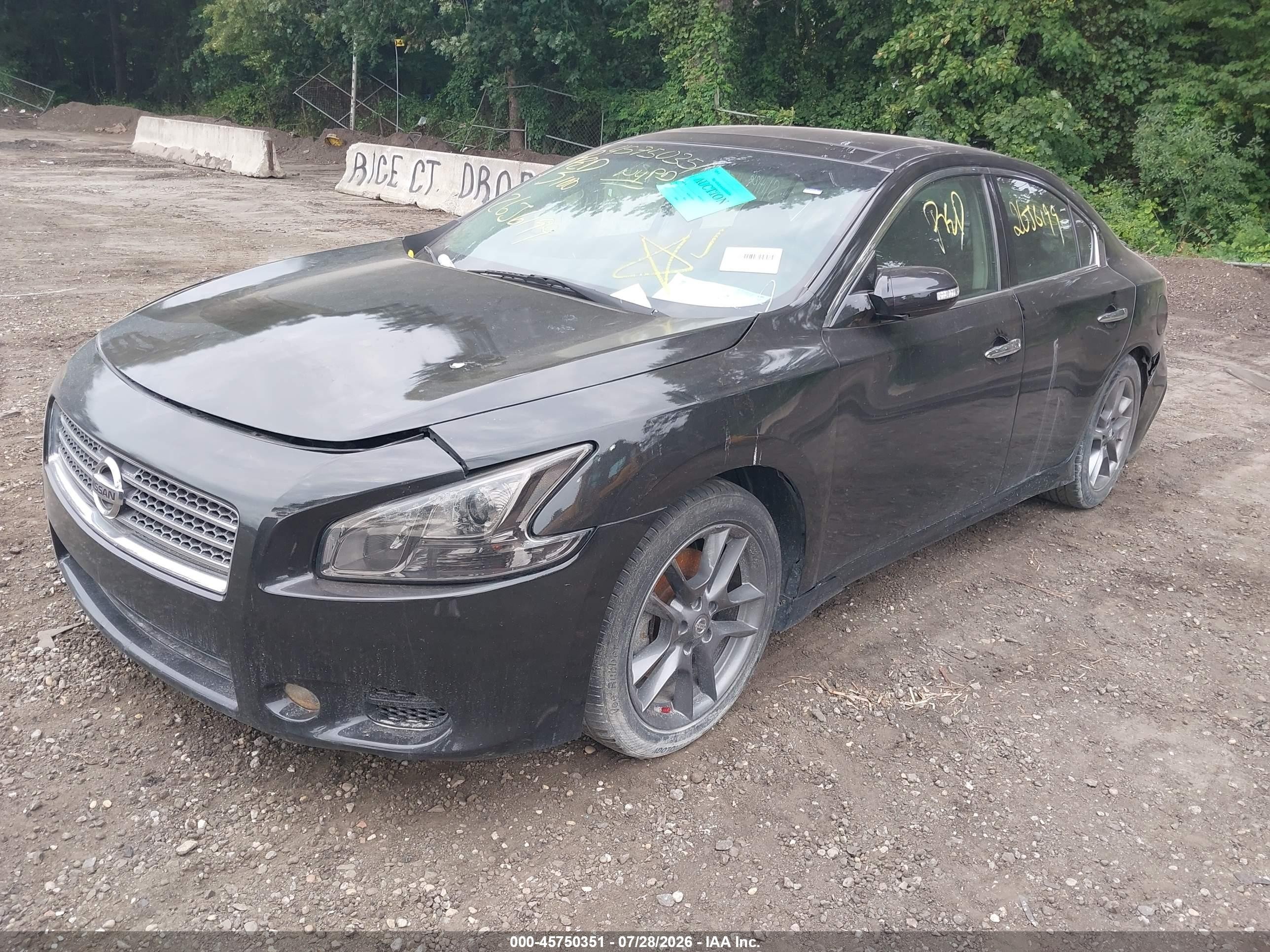 2010 Nissan Maxima 3.5 Sv Черный vin: 1N4AA5AP5AC804052