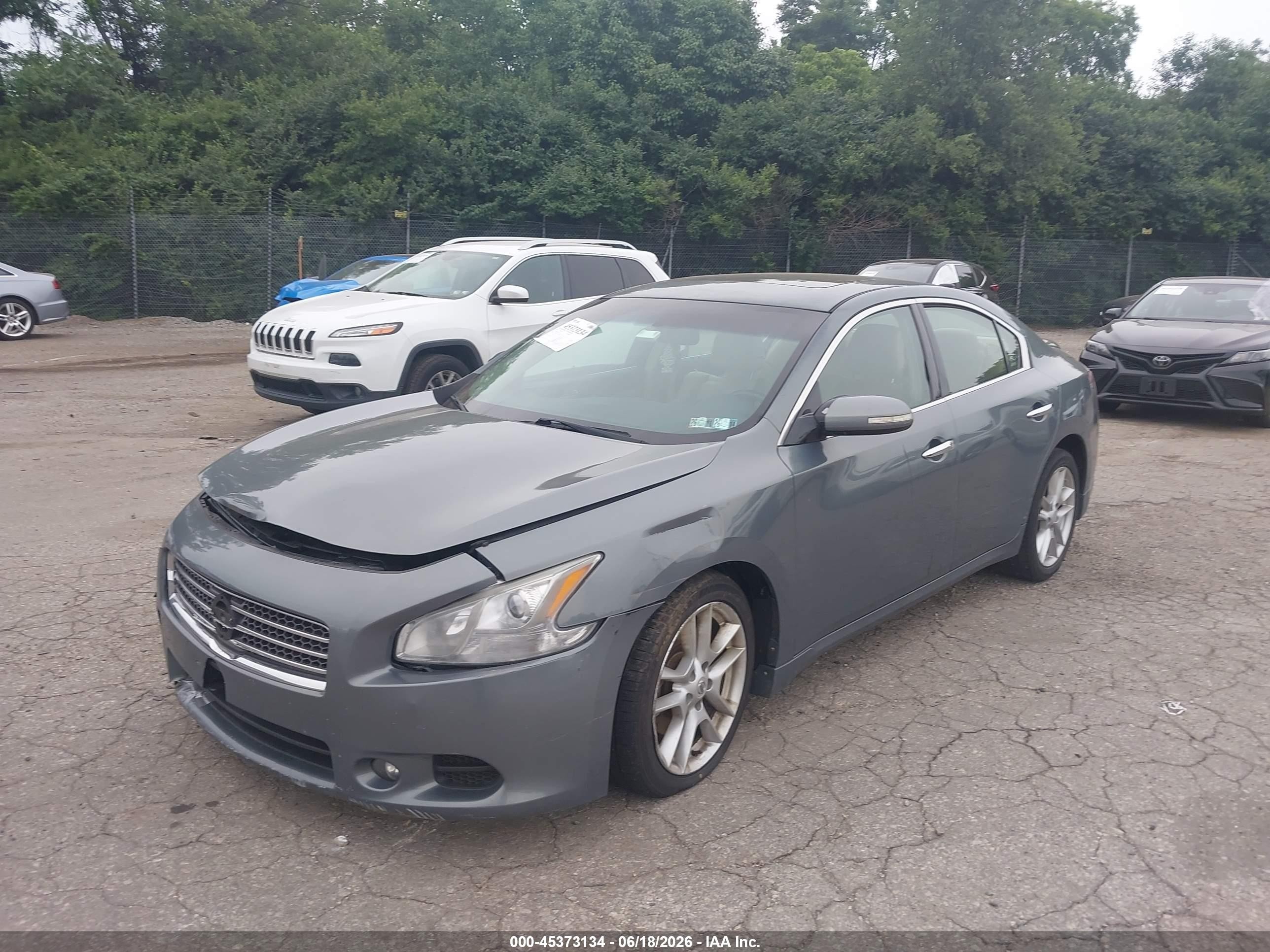 2010 Nissan Maxima 3.5 Sv Gray vin: 1N4AA5AP5AC810689