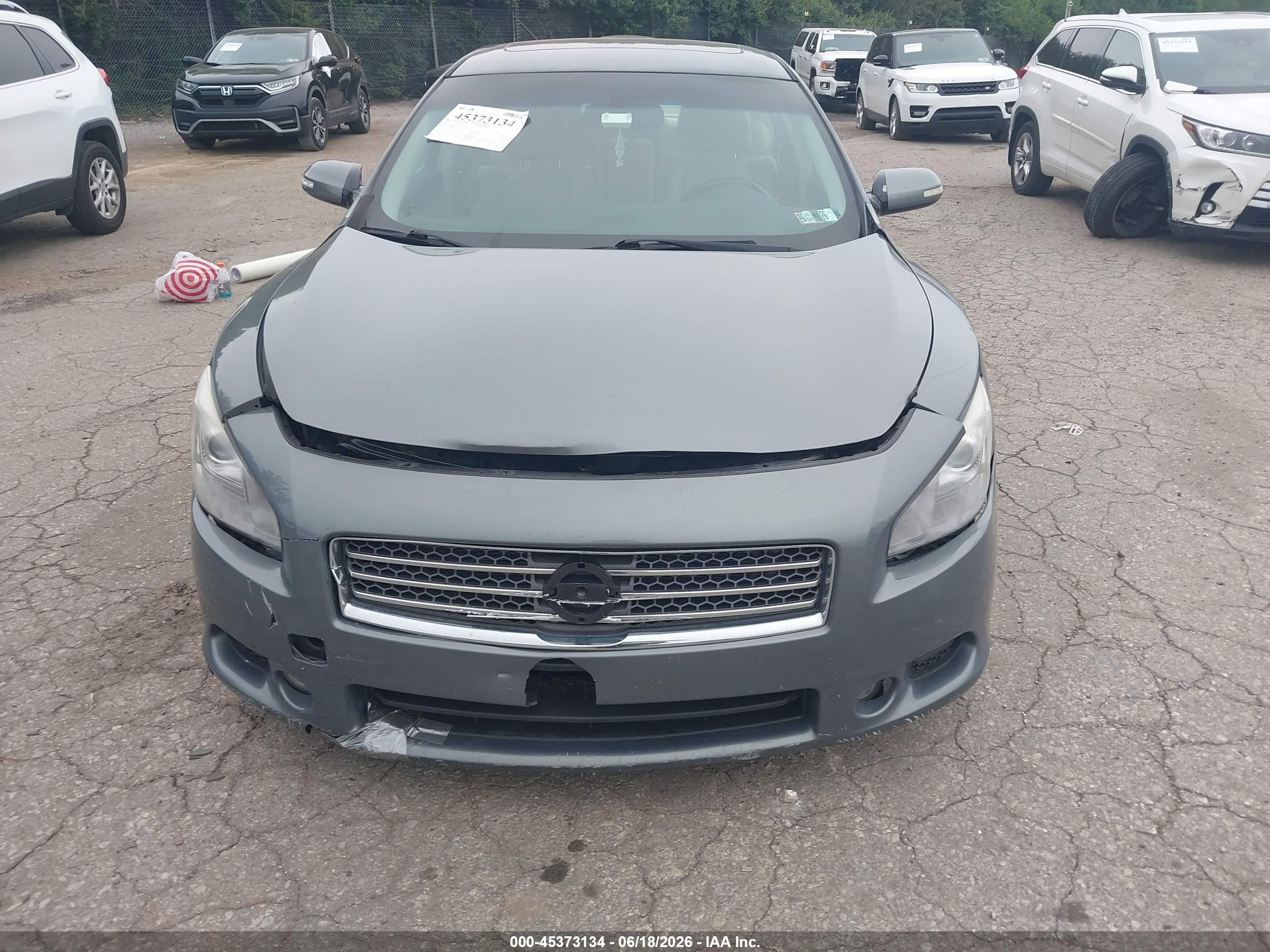 2010 Nissan Maxima 3.5 Sv Gray vin: 1N4AA5AP5AC810689