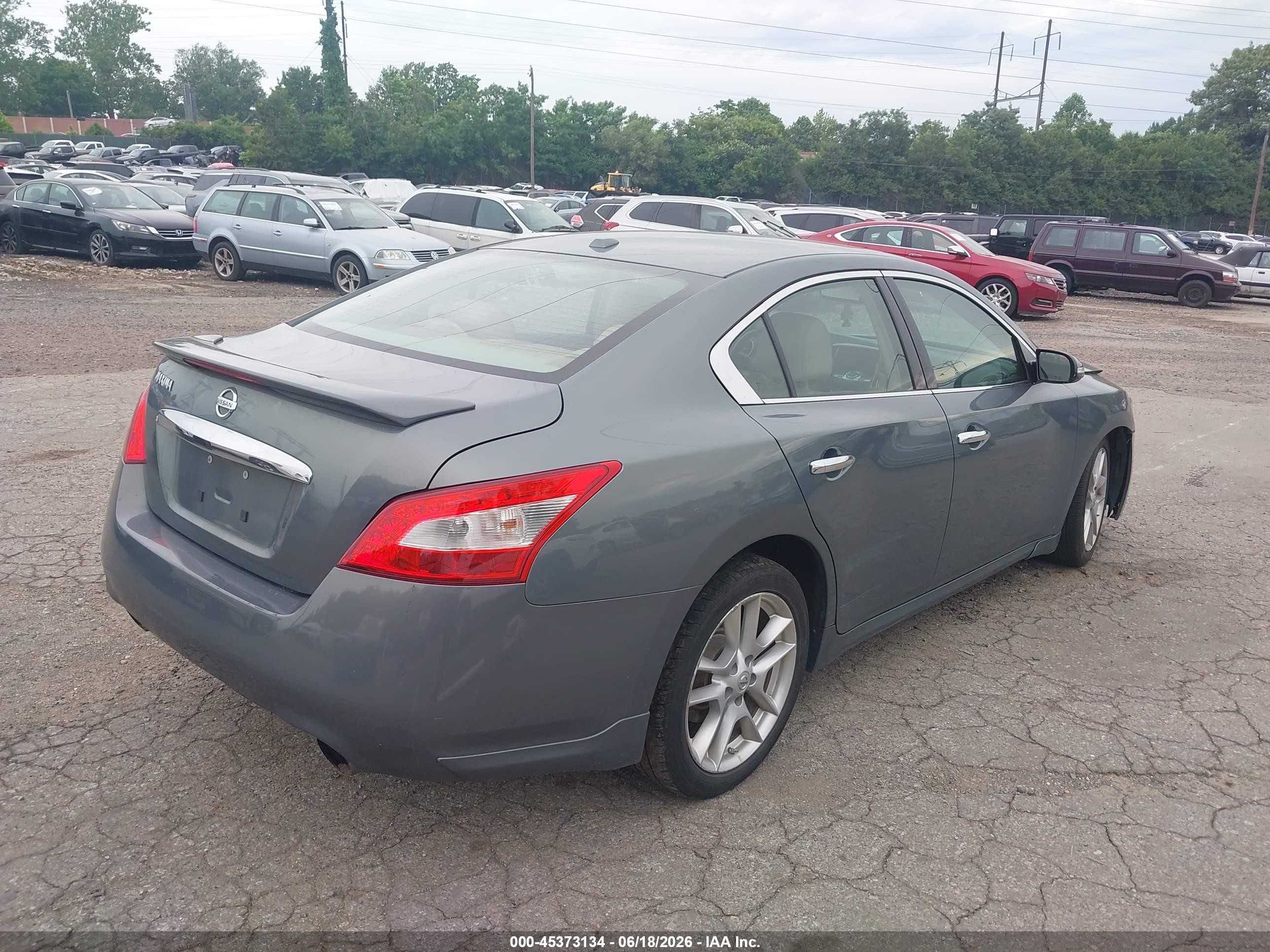 2010 Nissan Maxima 3.5 Sv Gray vin: 1N4AA5AP5AC810689