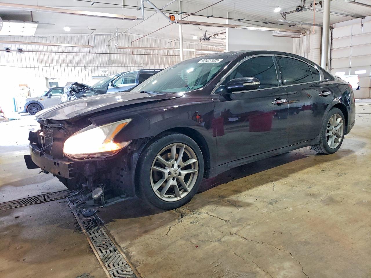 2010 Nissan Maxima 3.5 S Purple vin: 1N4AA5AP5AC833597