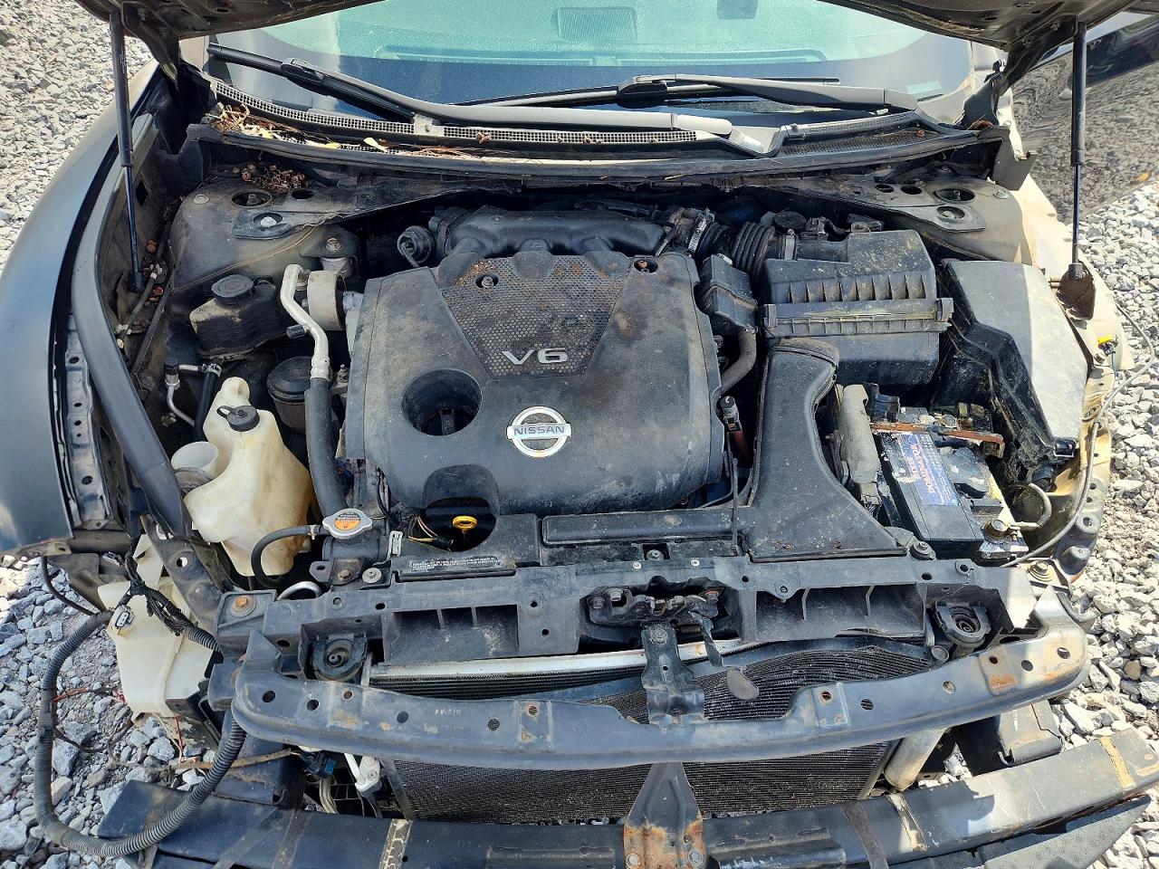 2010 Nissan Maxima 3.5 S Black vin: 1N4AA5AP5AC833728