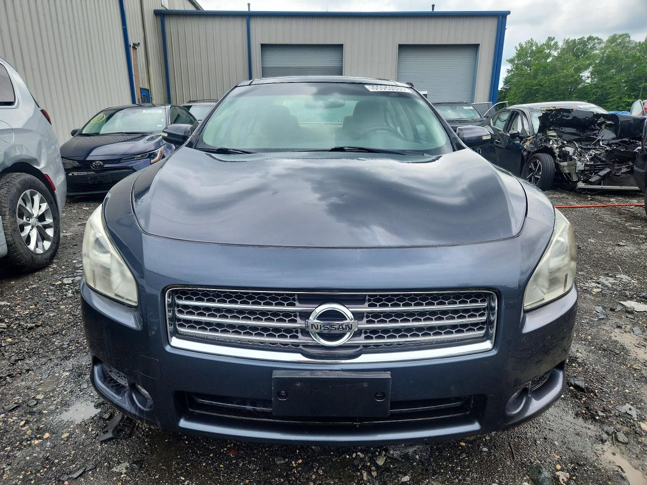 2010 Nissan Maxima 3.5 S Blue vin: 1N4AA5AP5AC844437