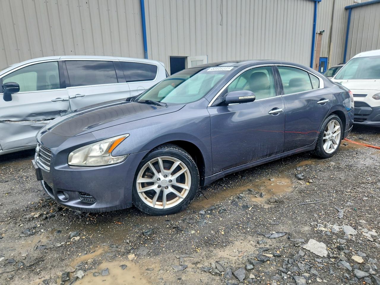 2010 Nissan Maxima 3.5 S Синий vin: 1N4AA5AP5AC844437