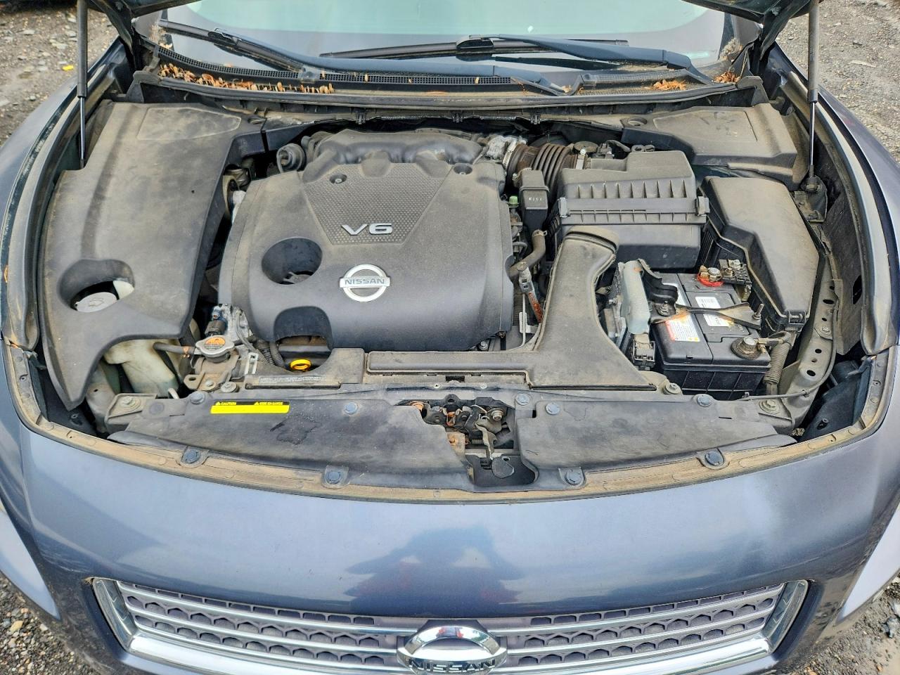 2010 Nissan Maxima 3.5 S Blue vin: 1N4AA5AP5AC844437