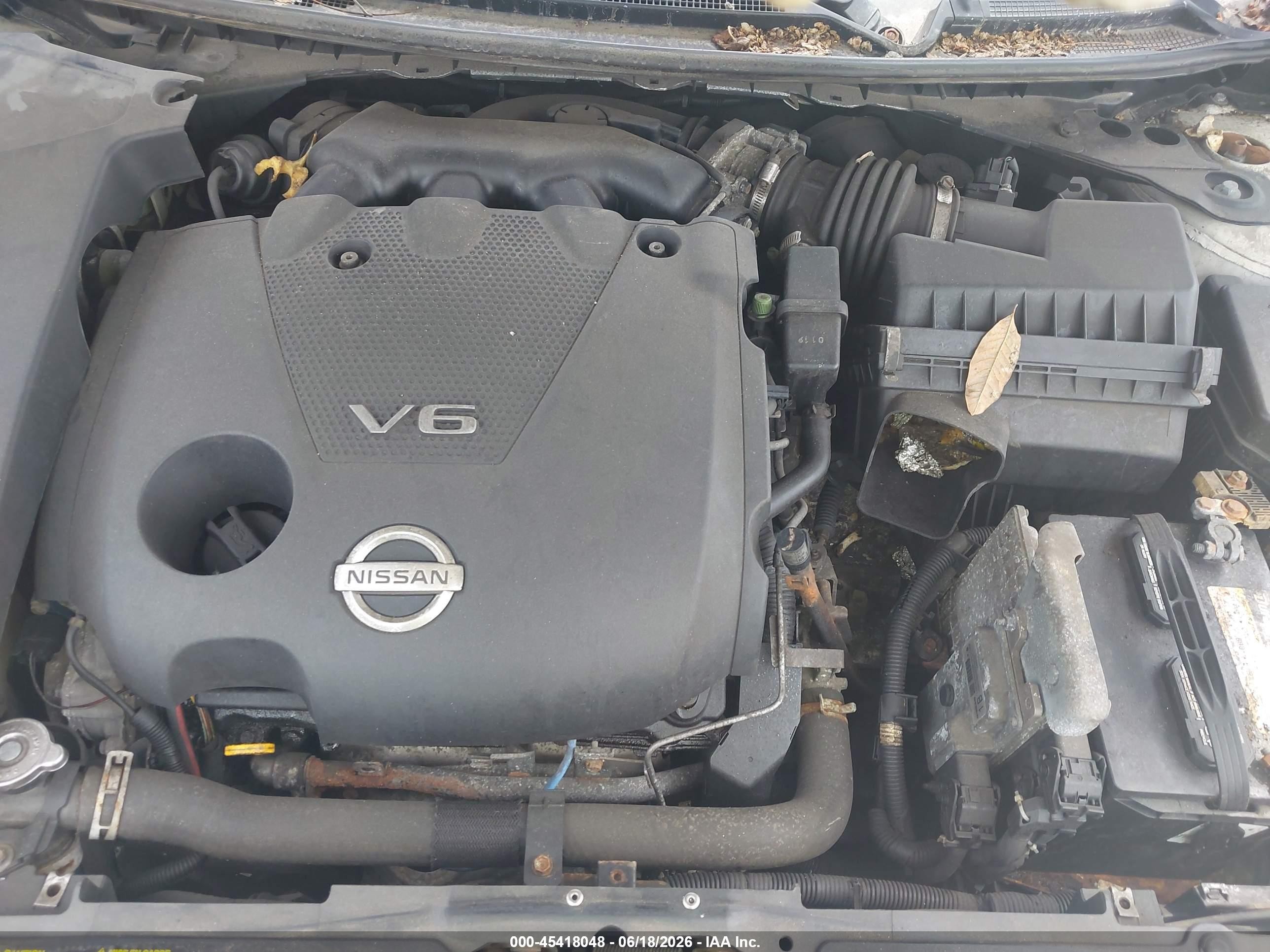 2010 Nissan Maxima 3.5 Sv White vin: 1N4AA5AP5AC844955