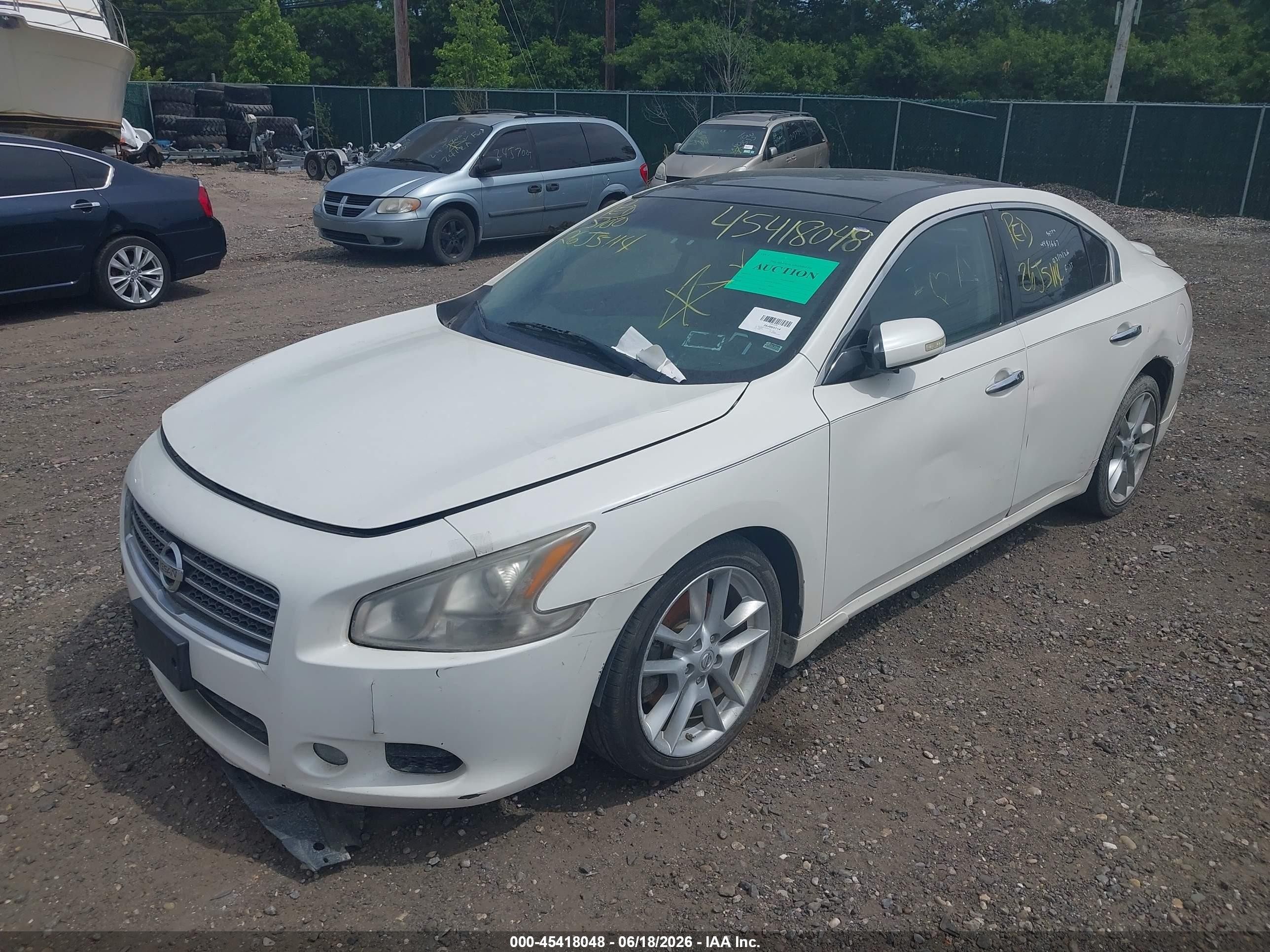 2010 Nissan Maxima 3.5 Sv White vin: 1N4AA5AP5AC844955