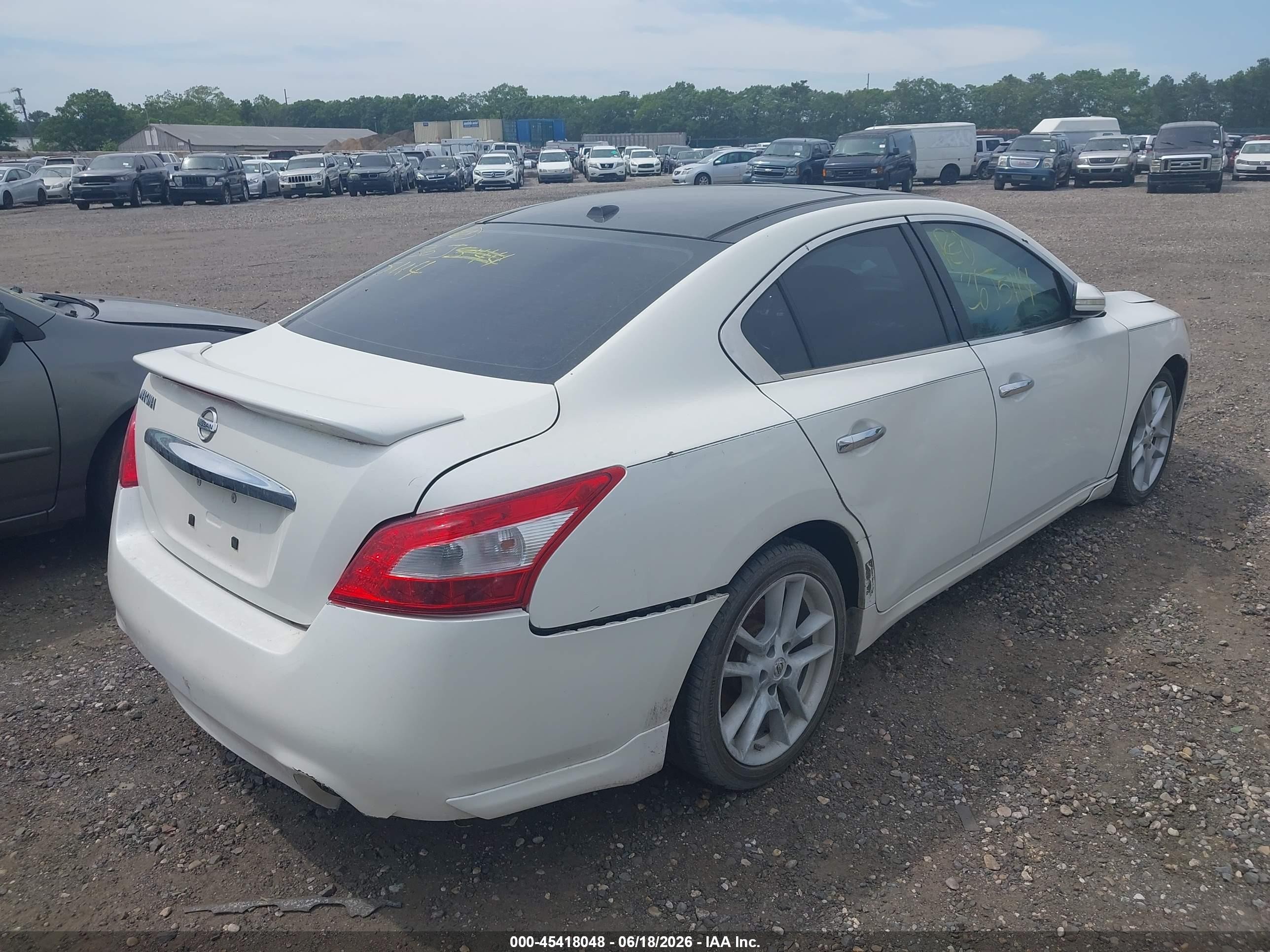 2010 Nissan Maxima 3.5 Sv White vin: 1N4AA5AP5AC844955