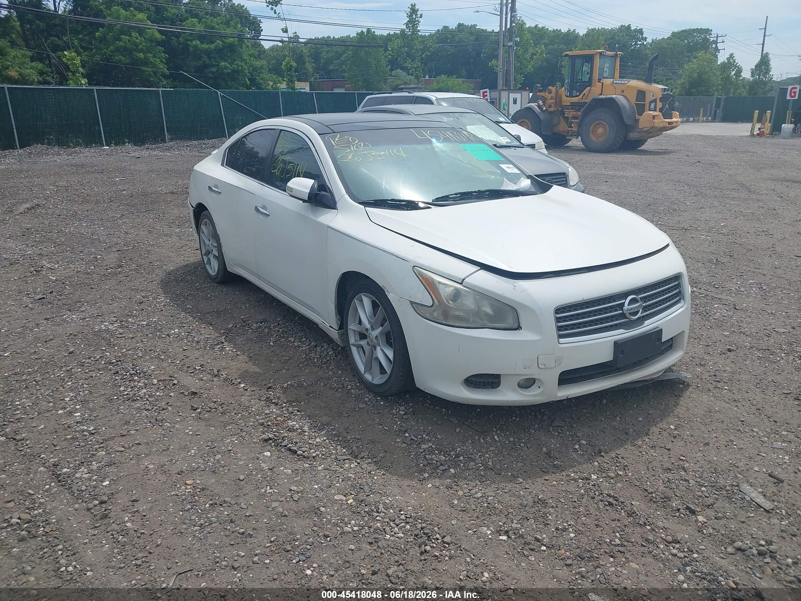 2010 Nissan Maxima 3.5 Sv White vin: 1N4AA5AP5AC844955