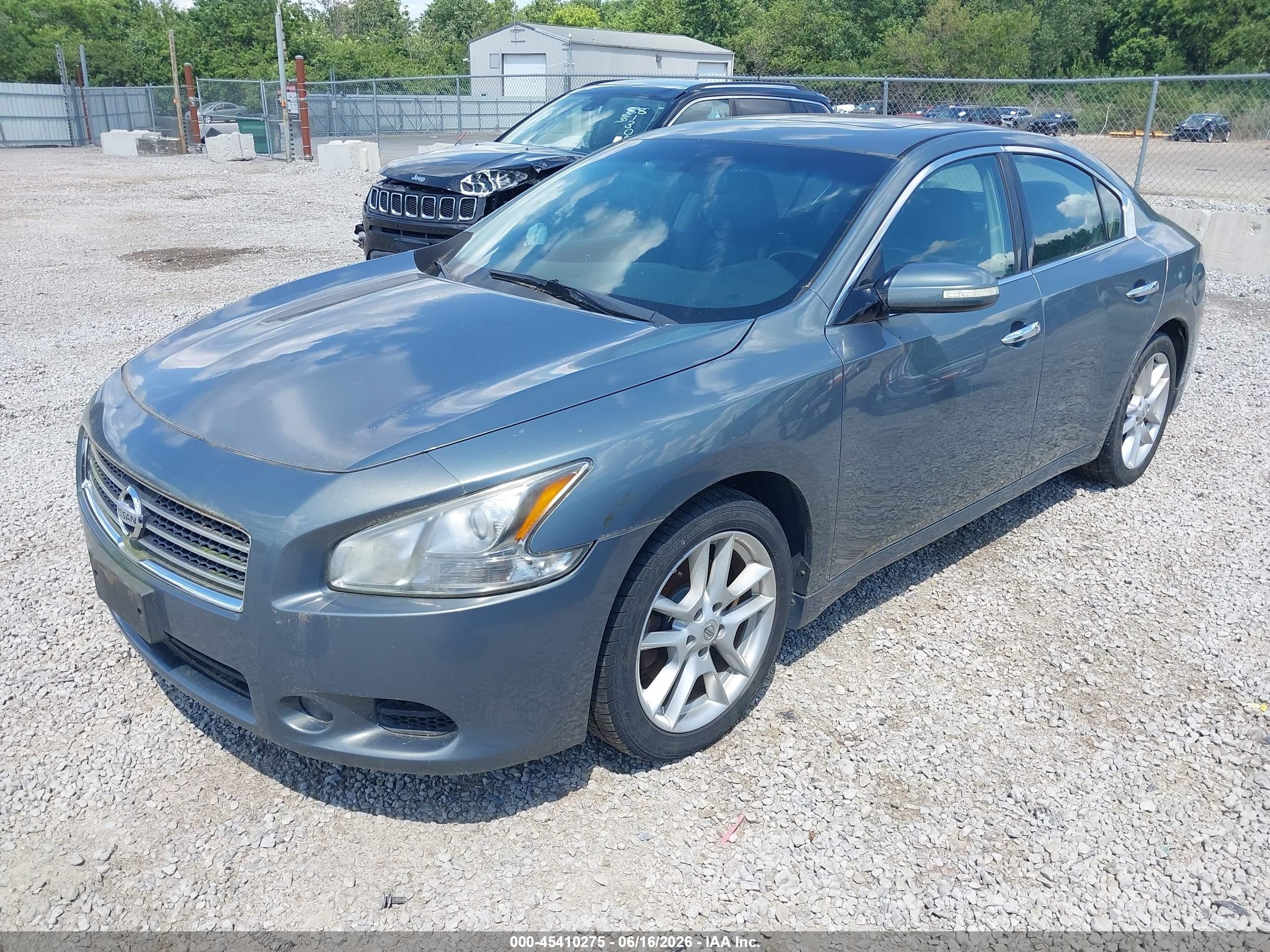 2010 Nissan Maxima 3.5 Sv Серый vin: 1N4AA5AP5AC858712