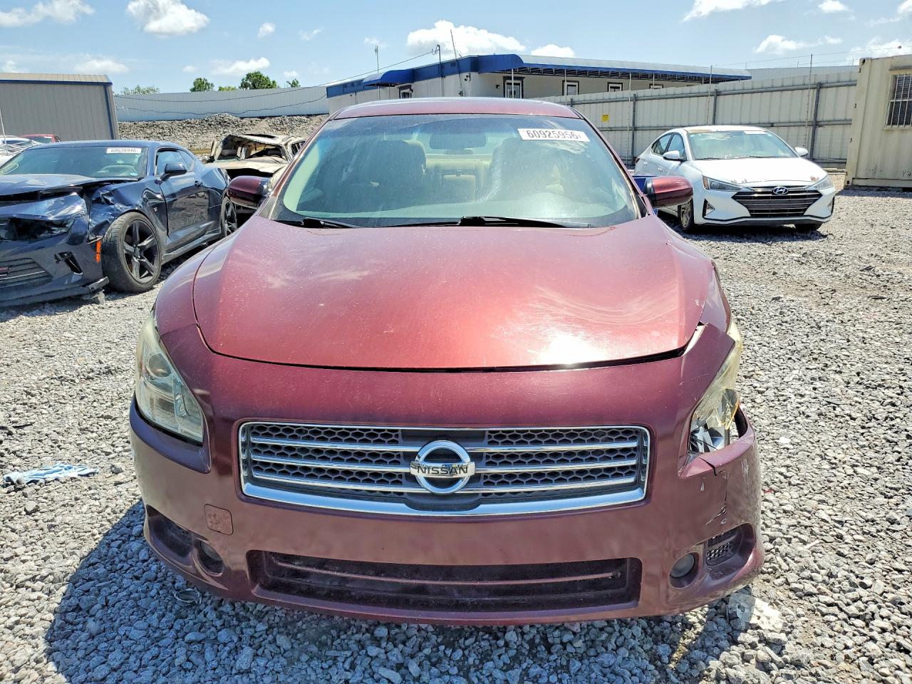 2010 Nissan Maxima 3.5 S Бордовый vin: 1N4AA5AP5AC864669