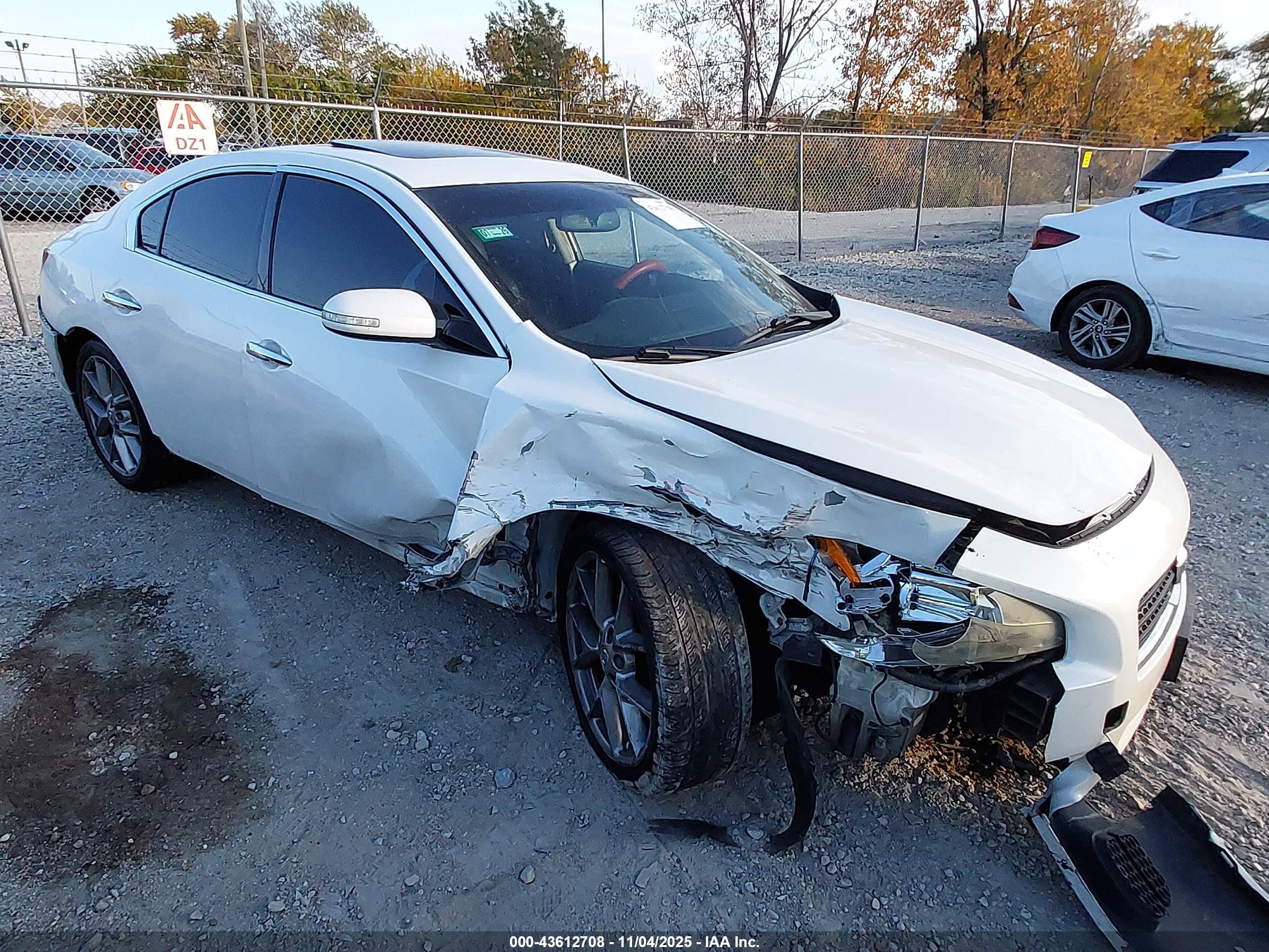 2011 Nissan Maxima 3.5 Sv White vin: 1N4AA5AP5BC862129