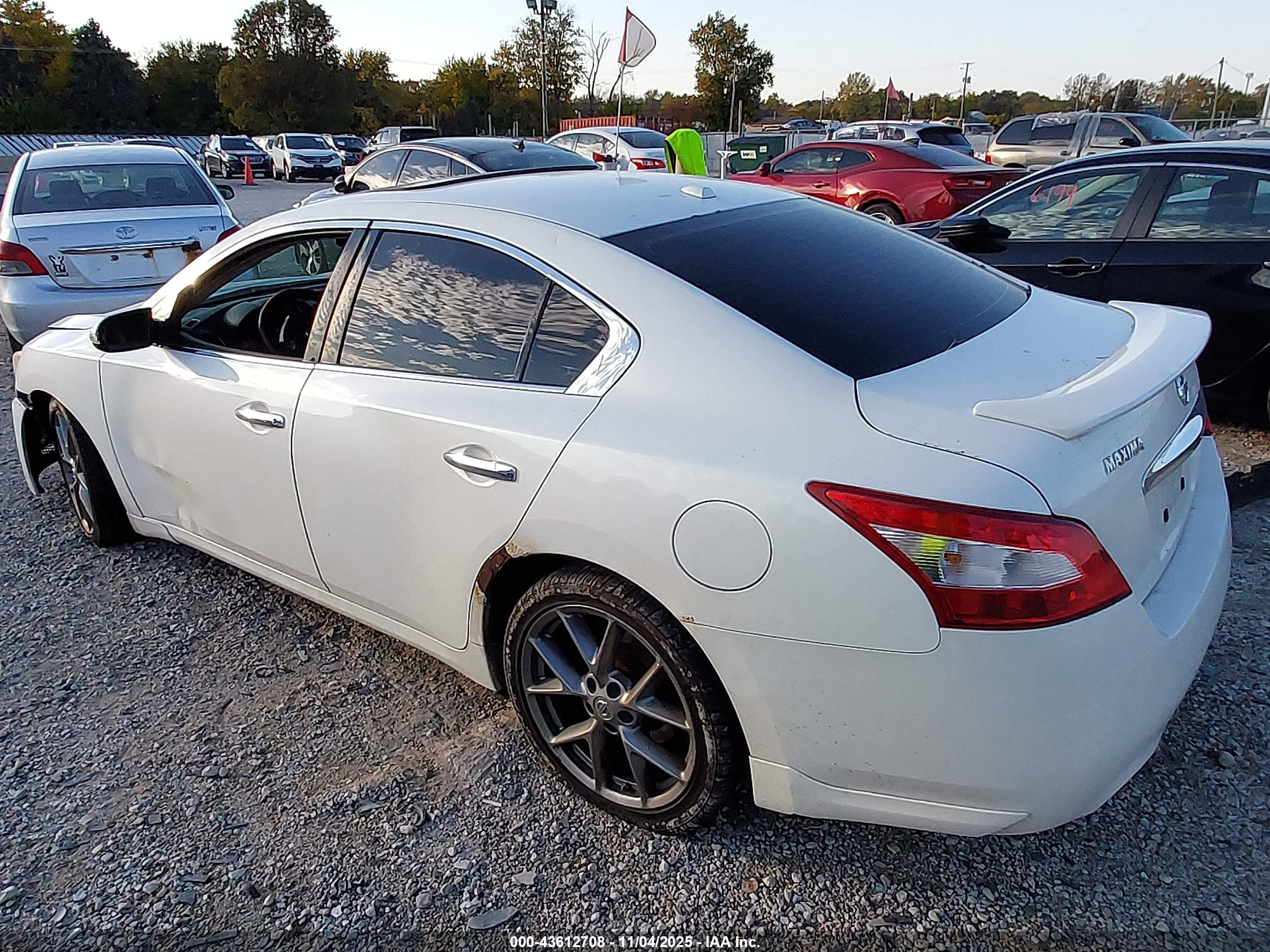 2011 Nissan Maxima 3.5 Sv White vin: 1N4AA5AP5BC862129
