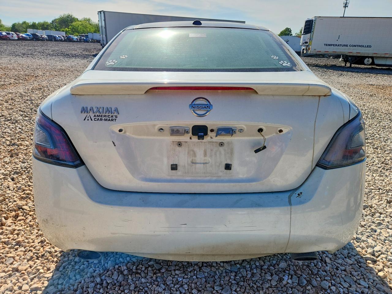 2014 Nissan Maxima 3.5 Sv White vin: 1N4AA5AP5EC485015