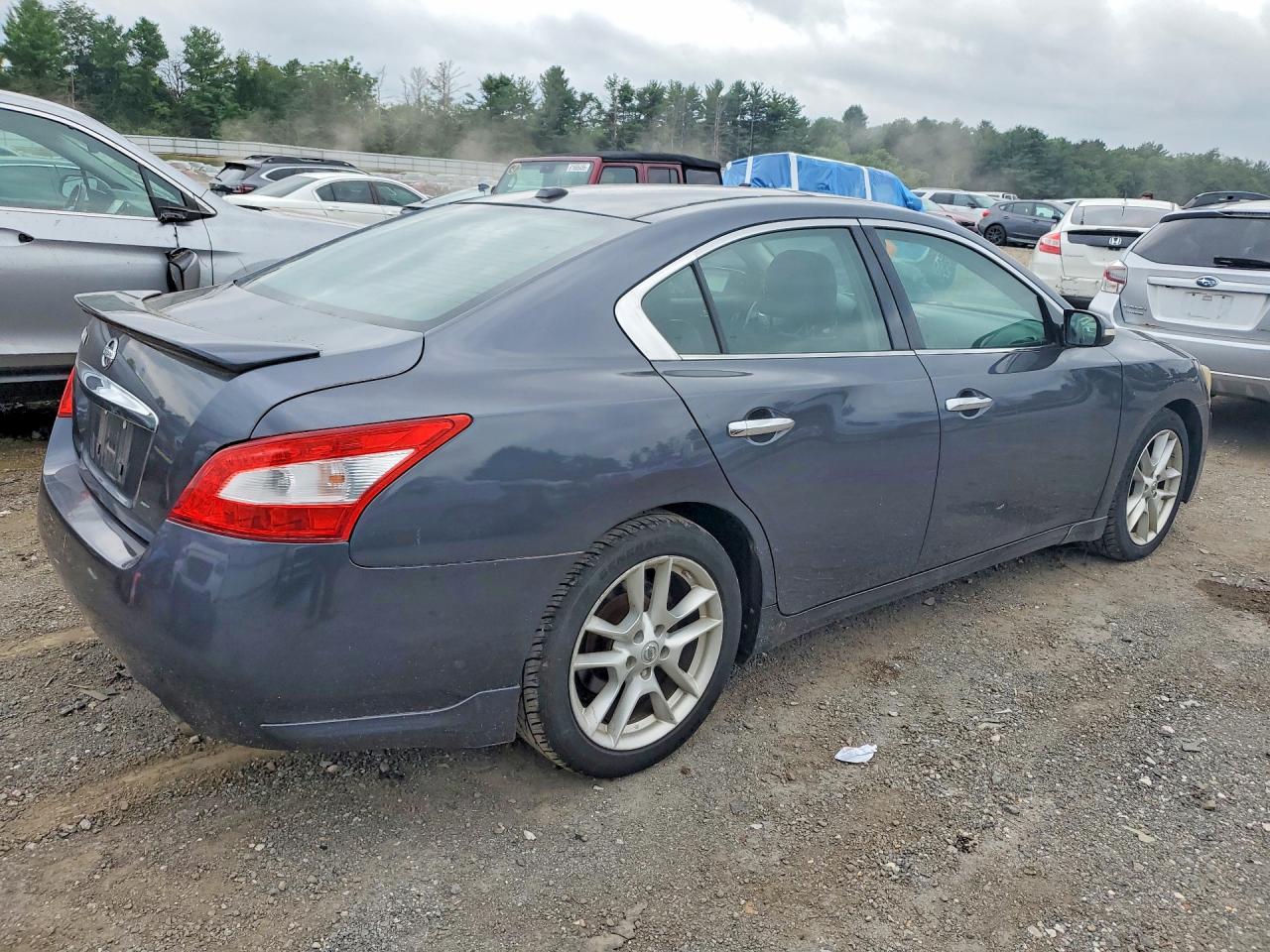 2010 Nissan Maxima 3.5 S Gray vin: 1N4AA5AP6AC817313