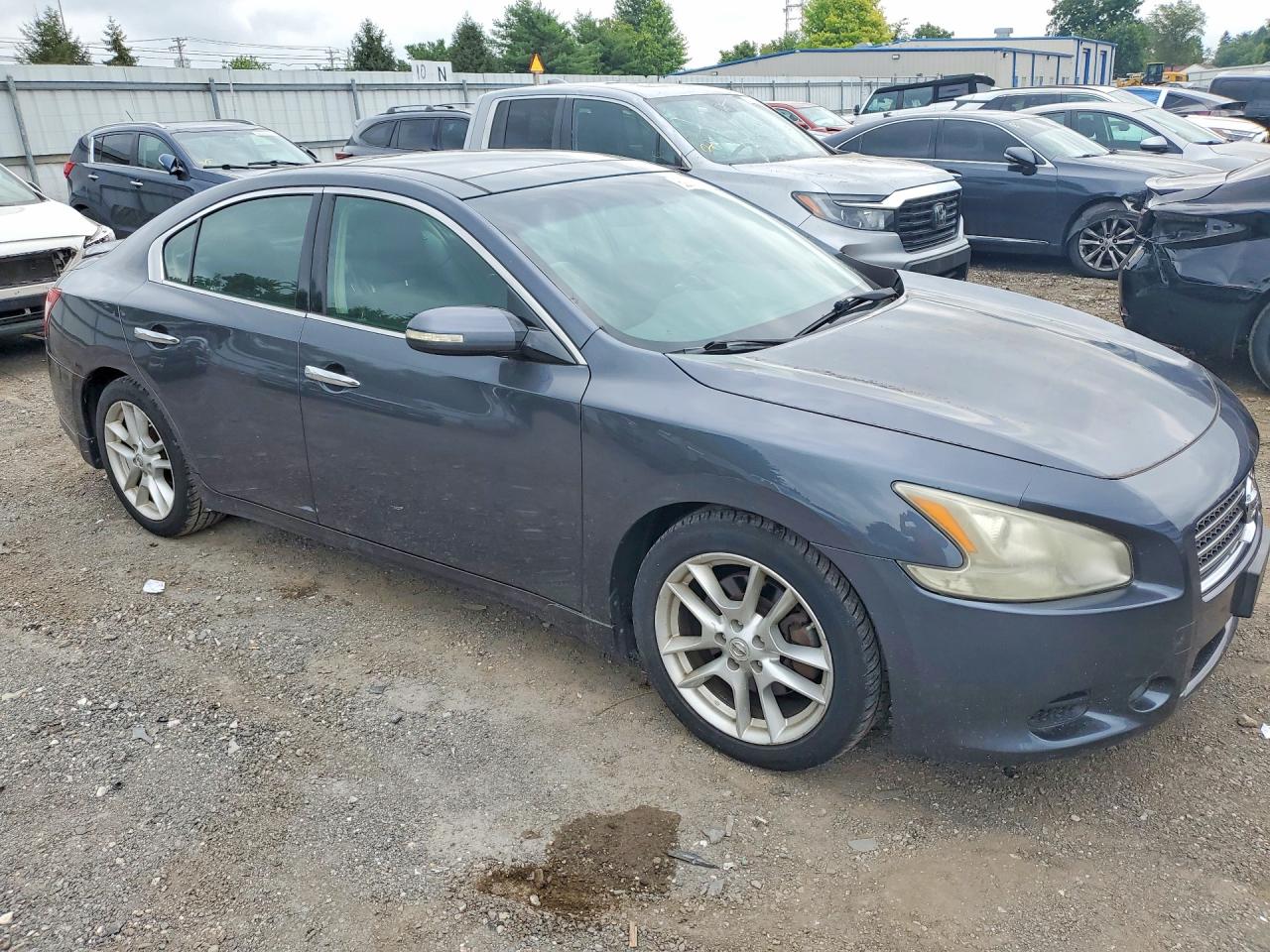 2010 Nissan Maxima 3.5 S Gray vin: 1N4AA5AP6AC817313