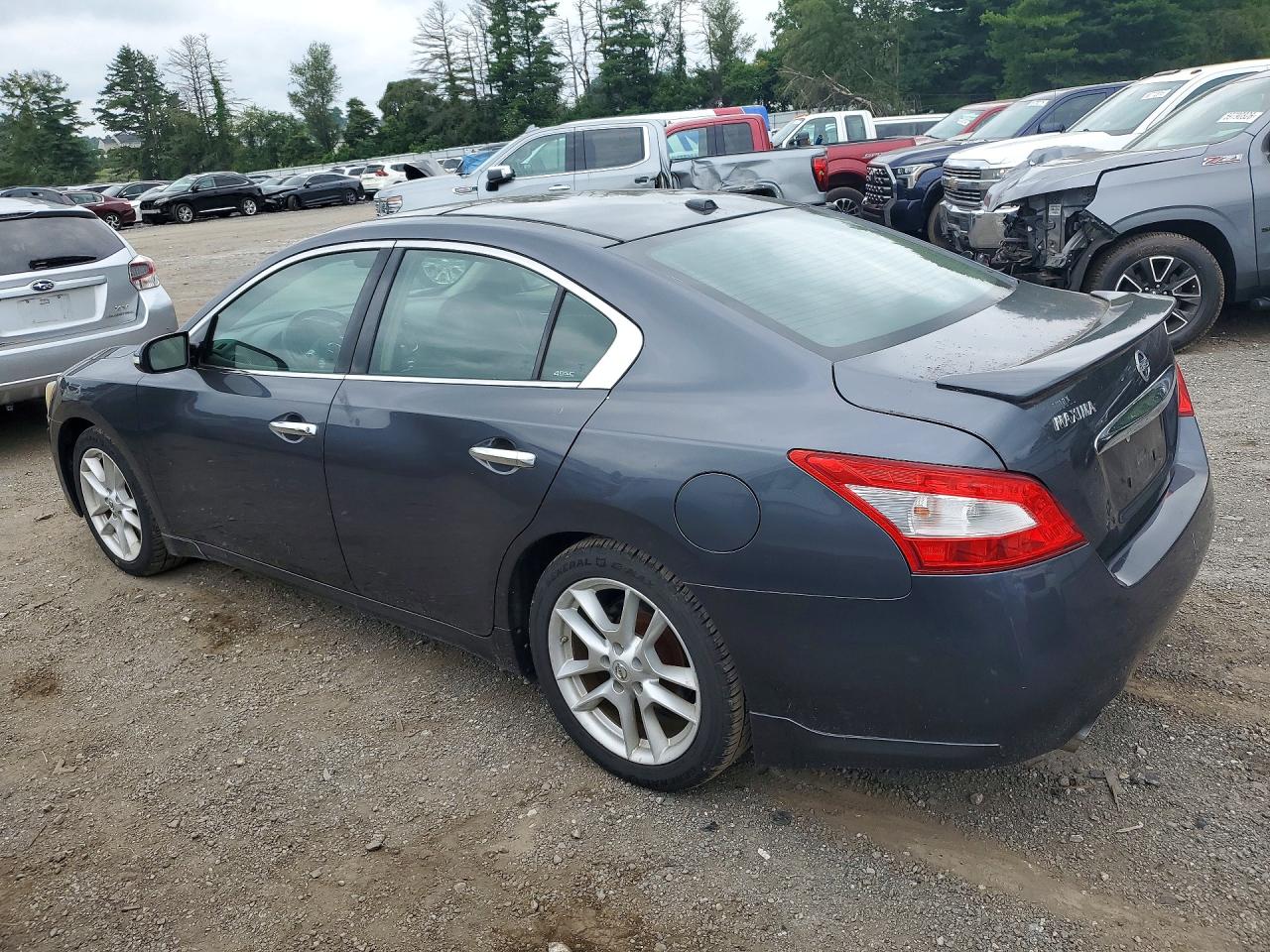 2010 Nissan Maxima 3.5 S Gray vin: 1N4AA5AP6AC817313