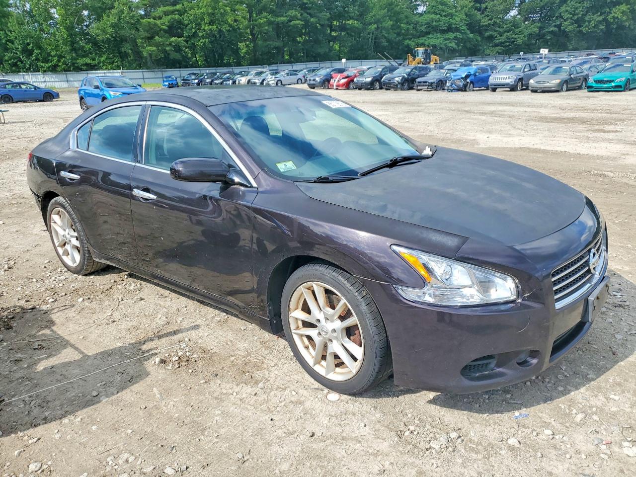 2010 Nissan Maxima 3.5 S Maroon vin: 1N4AA5AP6AC821054