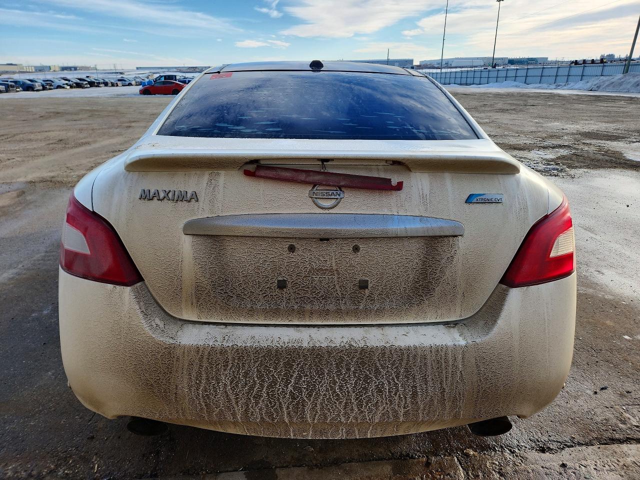 2010 Nissan Maxima S Белый vin: 1N4AA5AP6AC836721