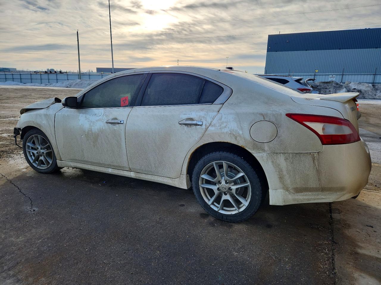 2010 Nissan Maxima S Белый vin: 1N4AA5AP6AC836721