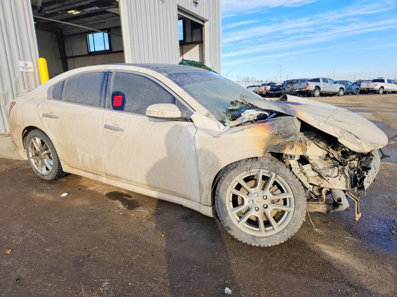 2010 Nissan Maxima S Белый vin: 1N4AA5AP6AC836721