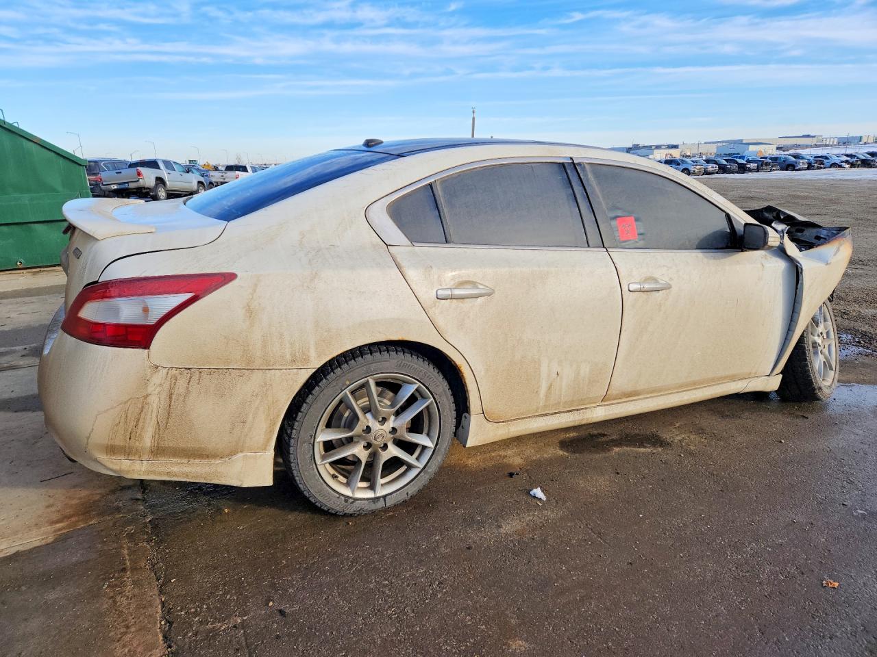 2010 Nissan Maxima S Белый vin: 1N4AA5AP6AC836721