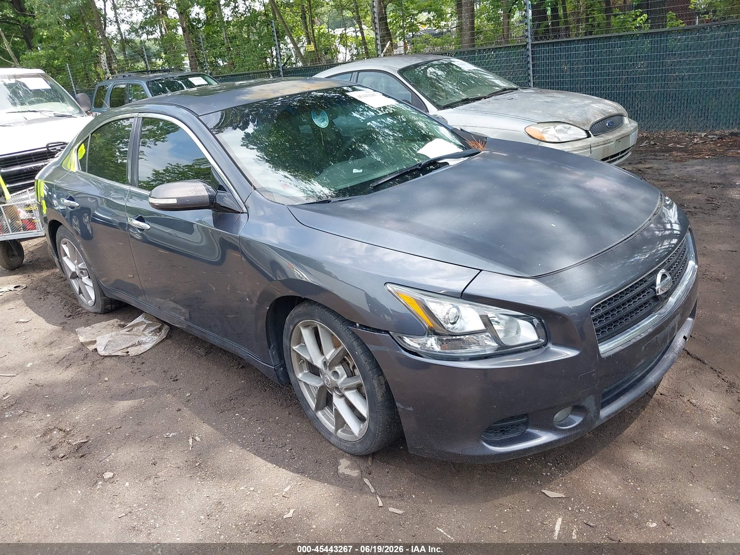 2011 Nissan Maxima 3.5 Sv Серый vin: 1N4AA5AP6BC811657
