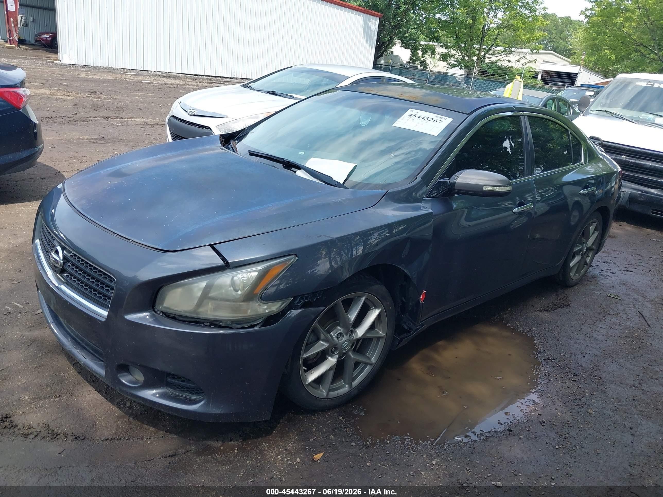 2011 Nissan Maxima 3.5 Sv Gray vin: 1N4AA5AP6BC811657