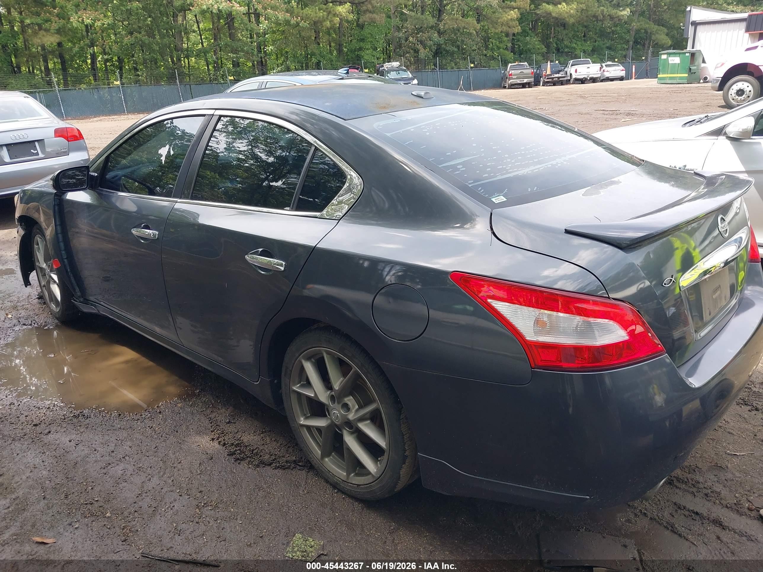 2011 Nissan Maxima 3.5 Sv Gray vin: 1N4AA5AP6BC811657