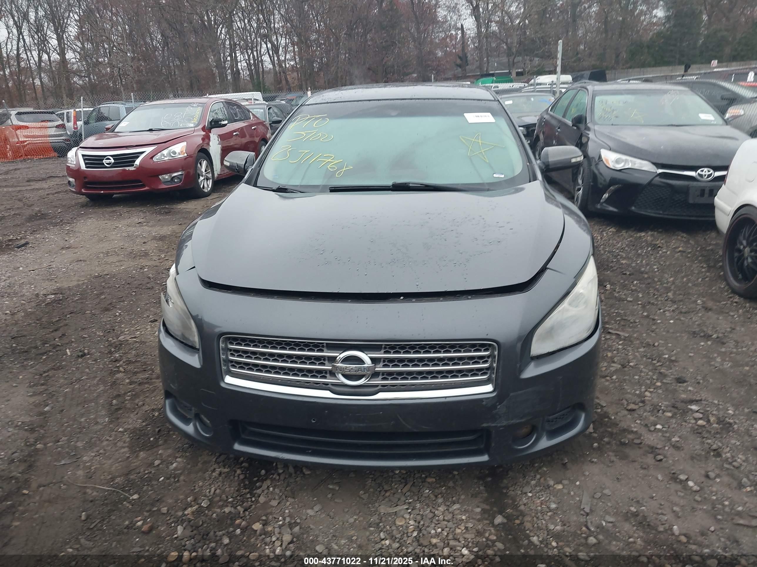 2011 Nissan Maxima 3.5 Sv Серый vin: 1N4AA5AP6BC815398