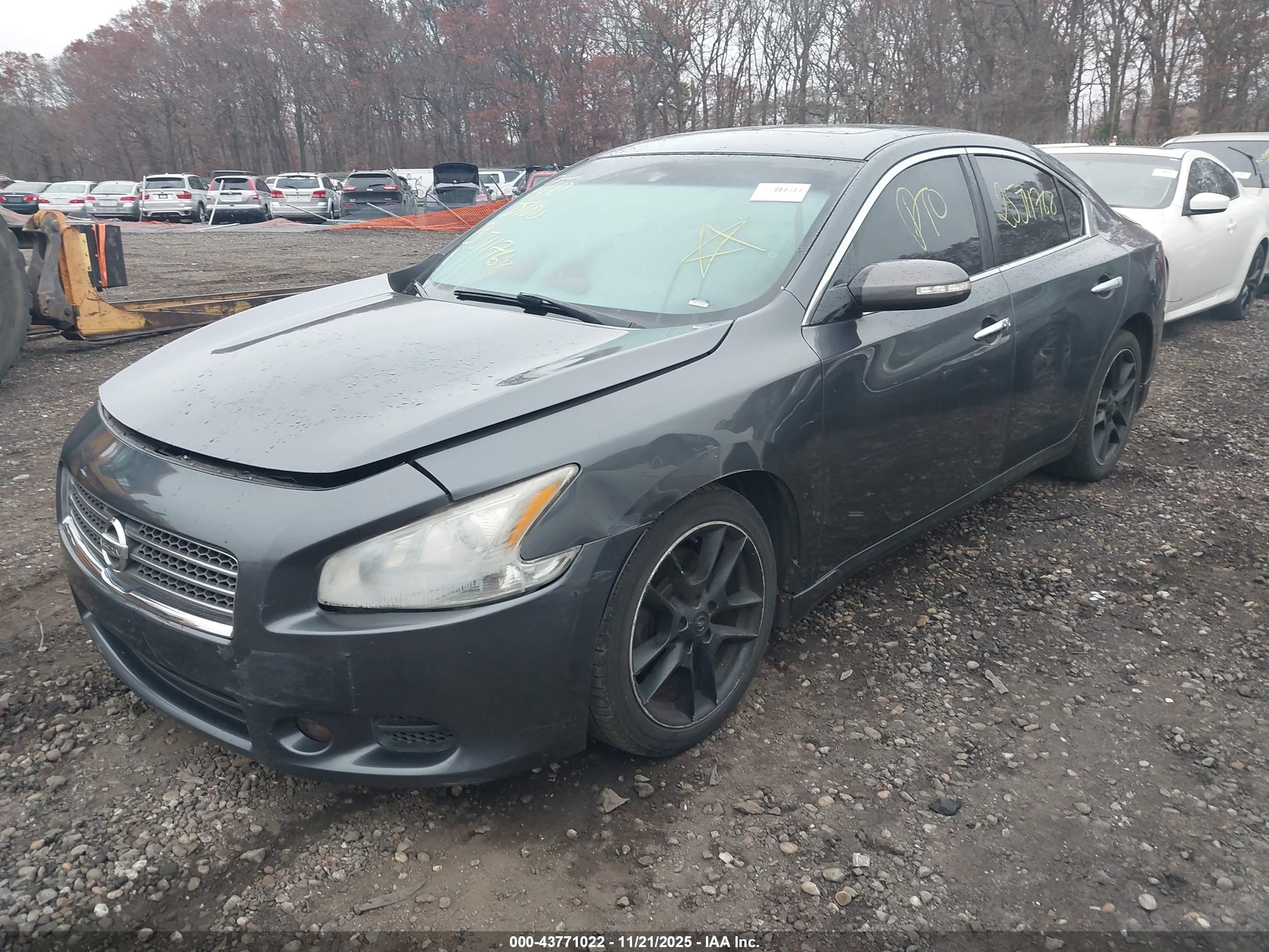 2011 Nissan Maxima 3.5 Sv Серый vin: 1N4AA5AP6BC815398