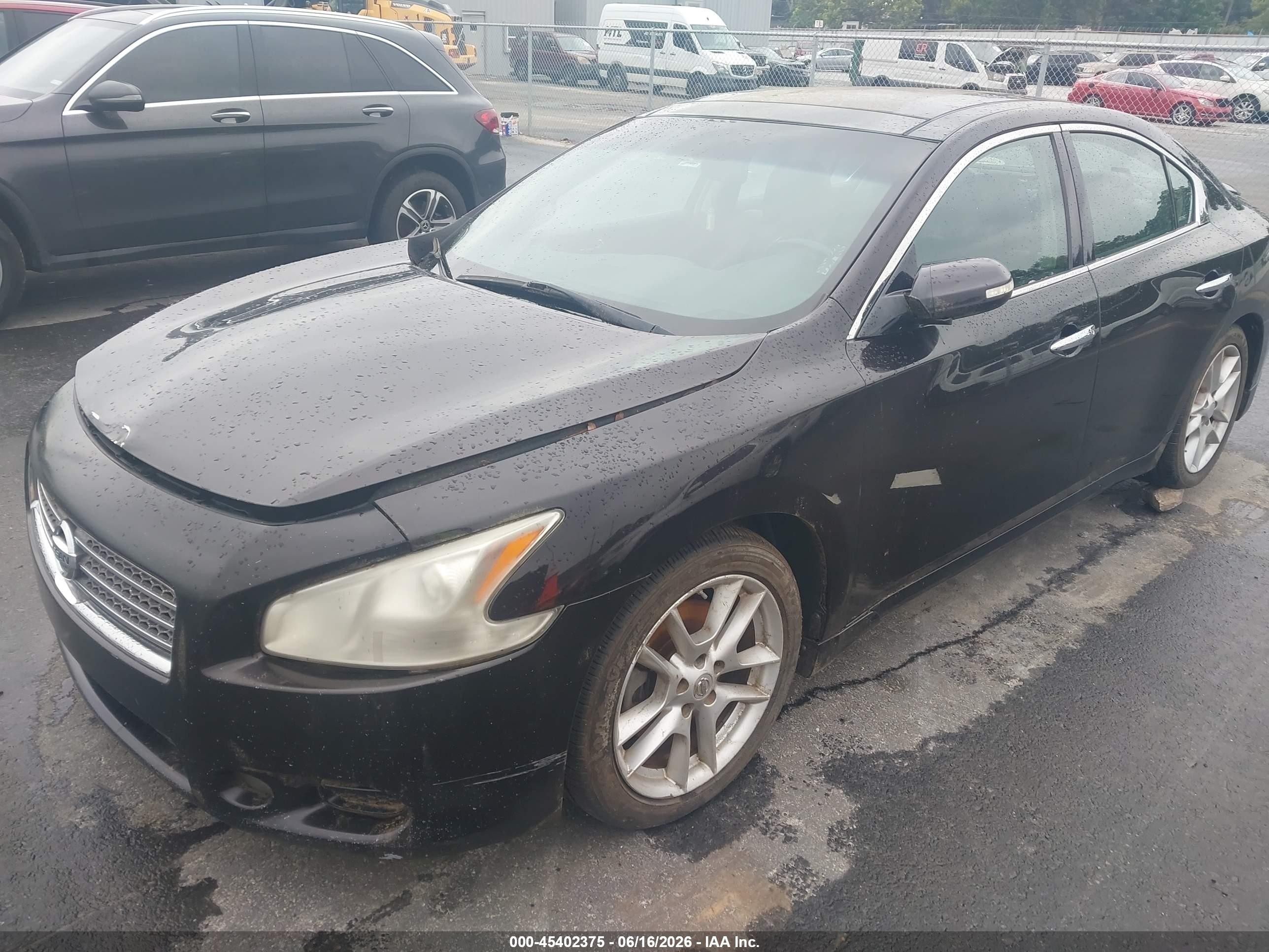2011 Nissan Maxima 3.5 Sv Purple vin: 1N4AA5AP6BC837854