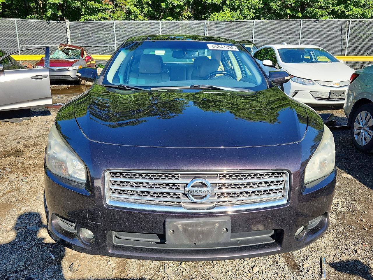2011 Nissan Maxima 3.5 S Purple vin: 1N4AA5AP6BC841936