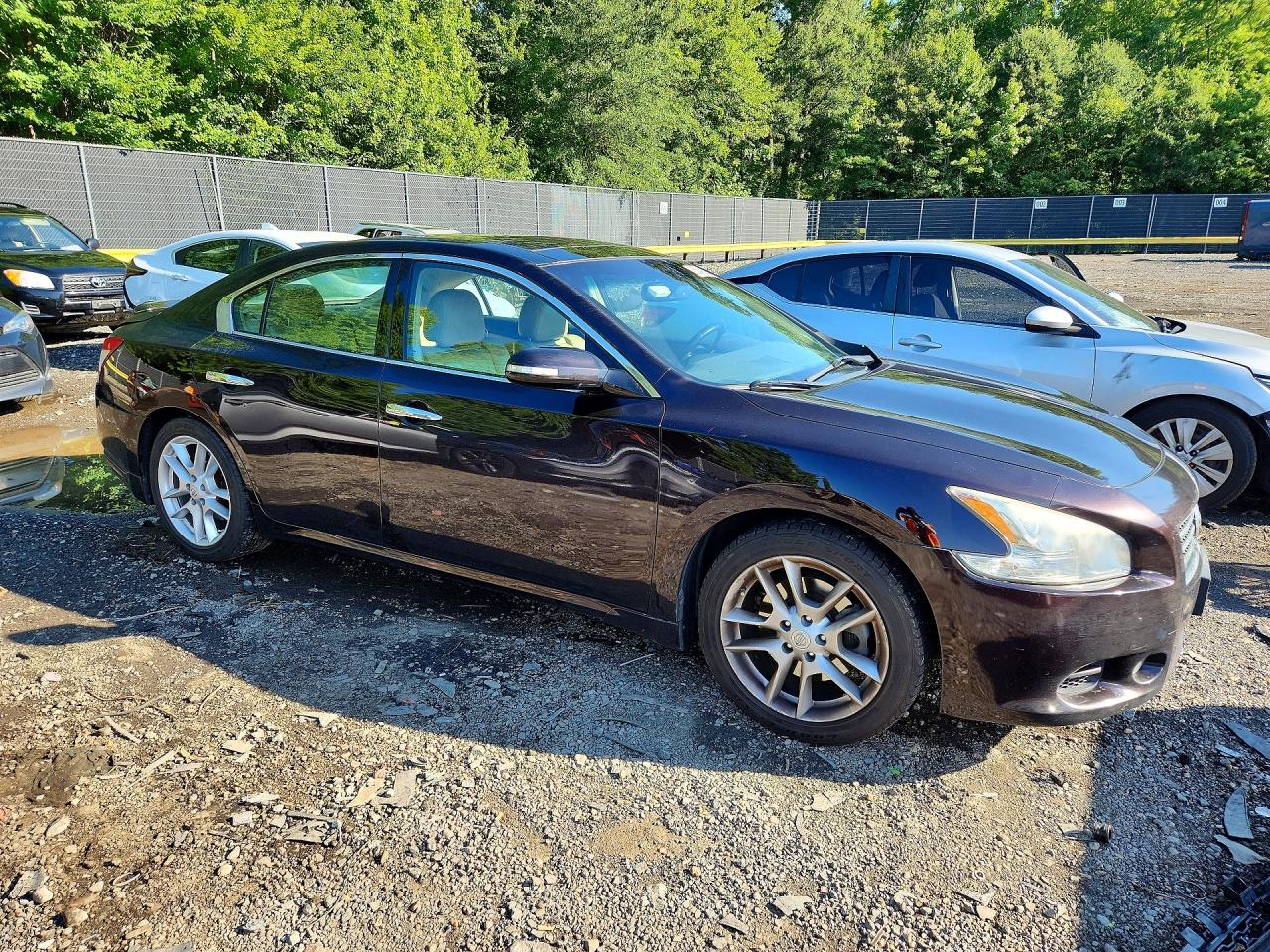 2011 Nissan Maxima 3.5 S Purple vin: 1N4AA5AP6BC841936